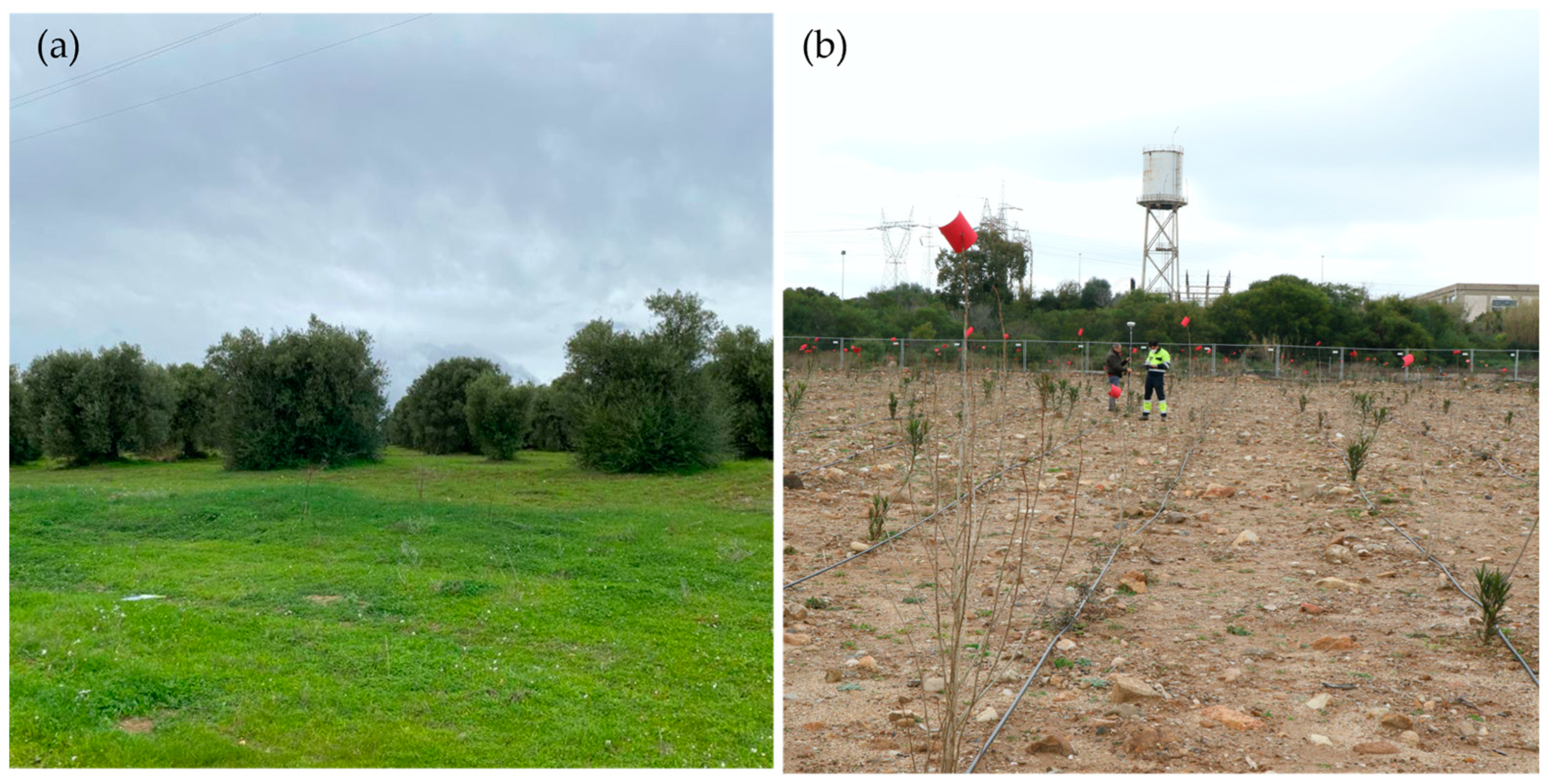 Drones 08 00106 g002