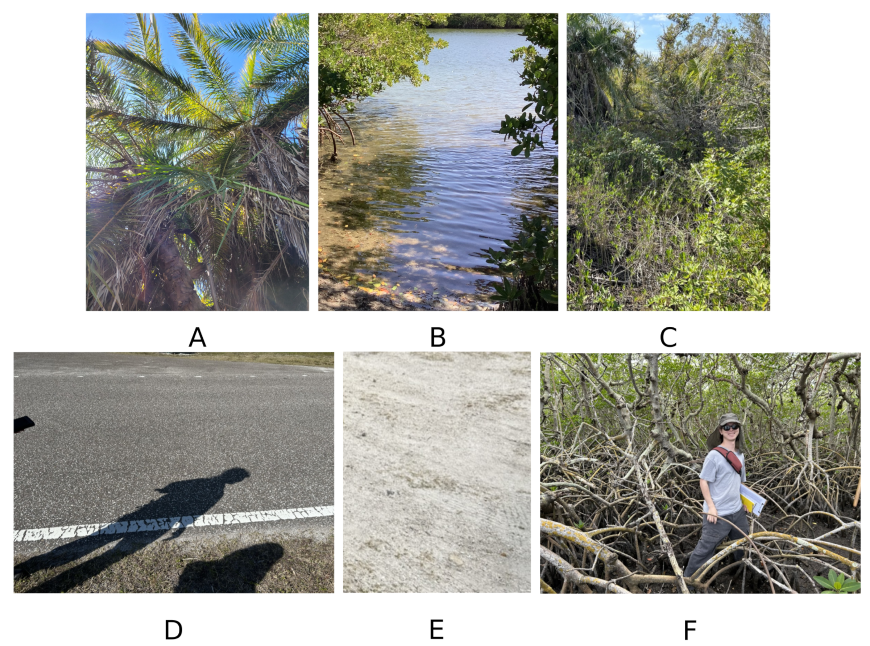 Drones 08 00113 g004