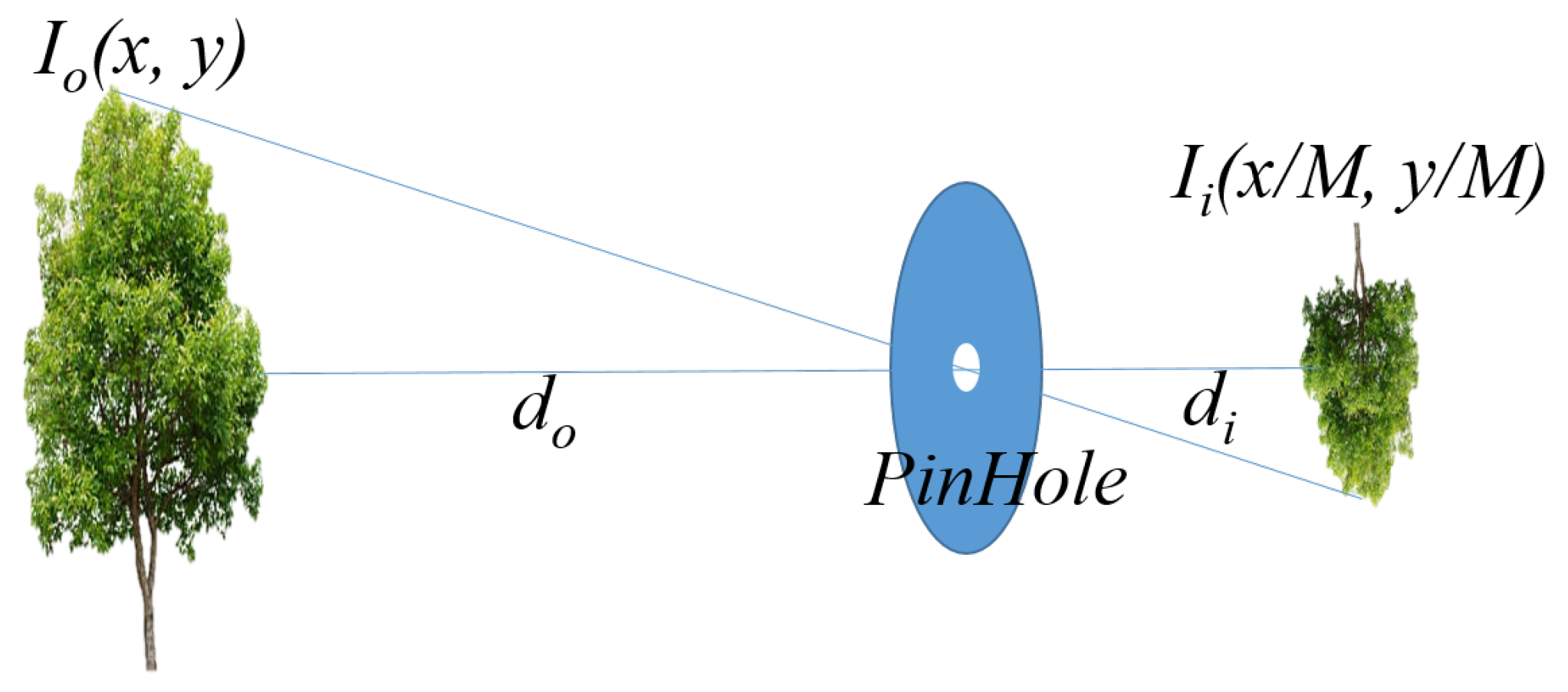 Drones 08 00130 g002