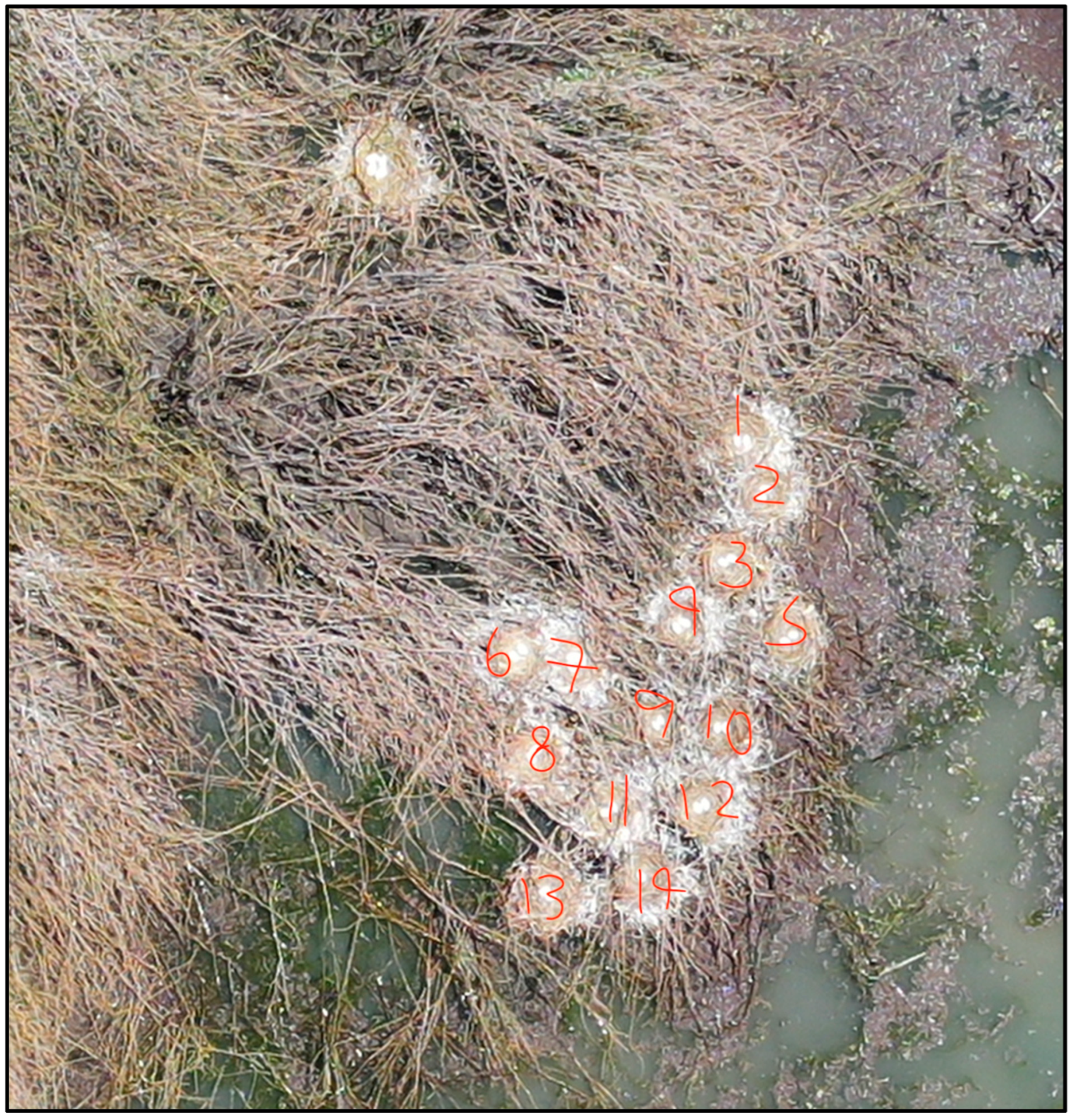 Drones 08 00135 g0a1