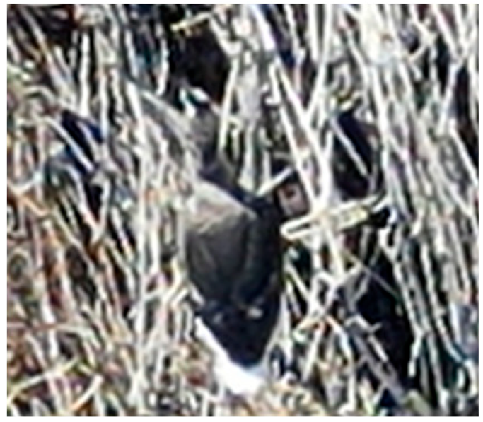 Drones 08 00135 i010