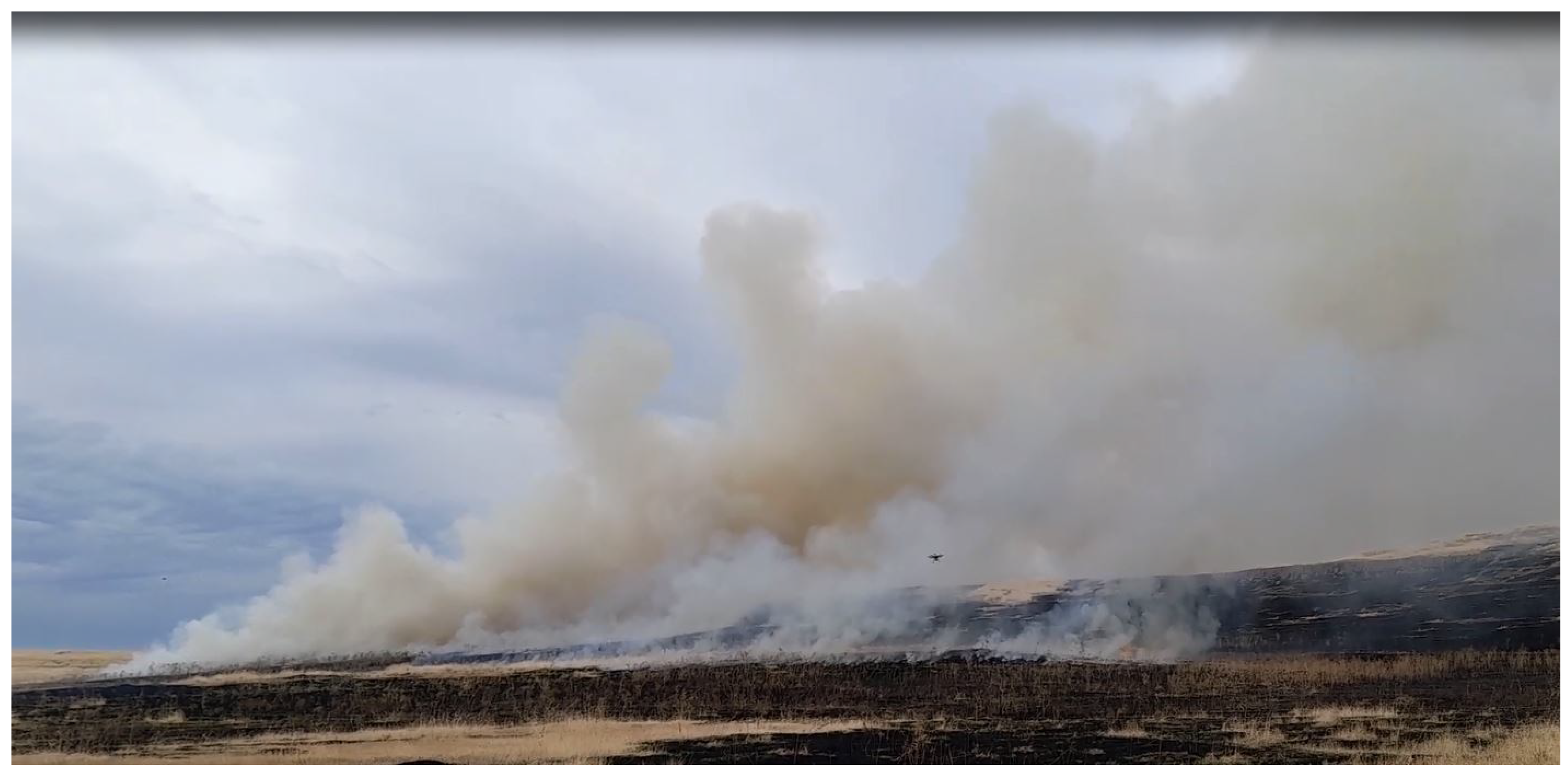 Drones 08 00169 g003