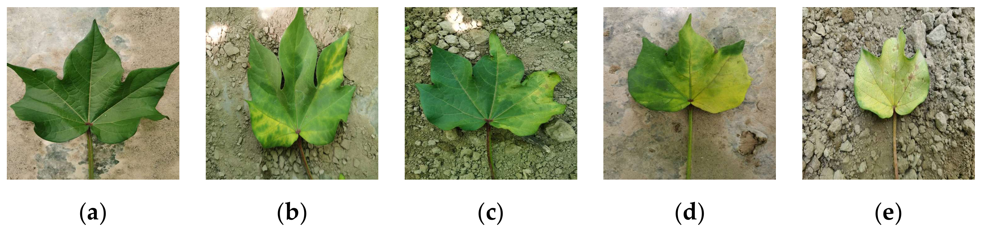 Drones 08 00176 g003