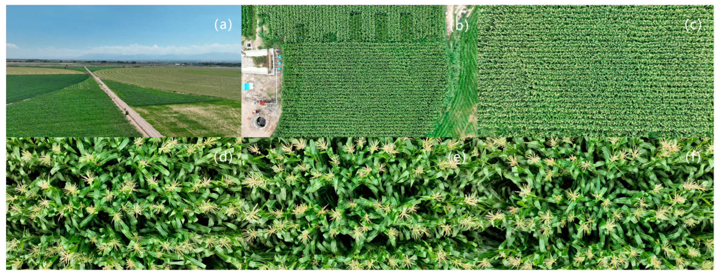 Drones 08 00198 g002