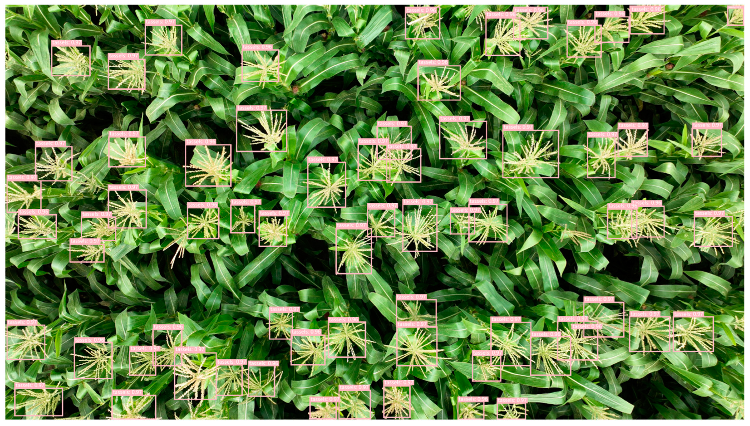 Drones 08 00198 g015