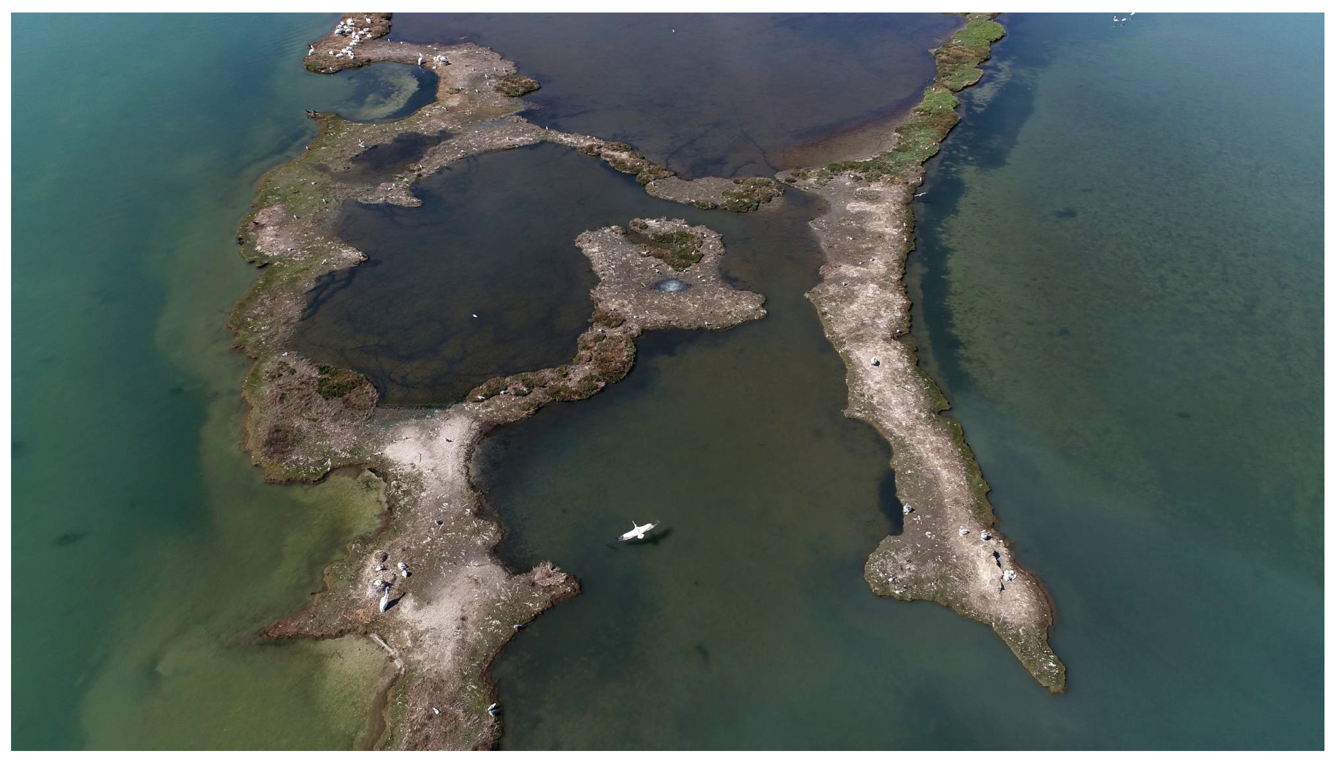 Drones 08 00259 g001