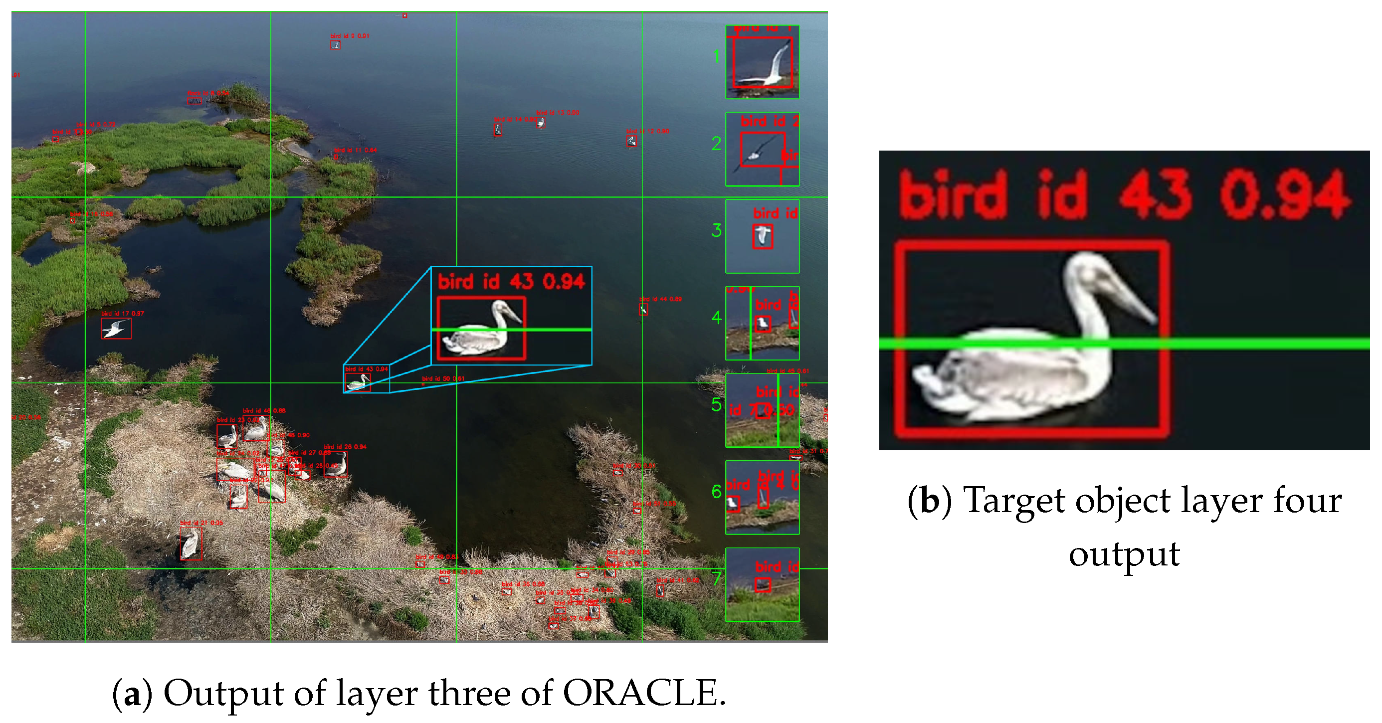 Drones 08 00259 g008