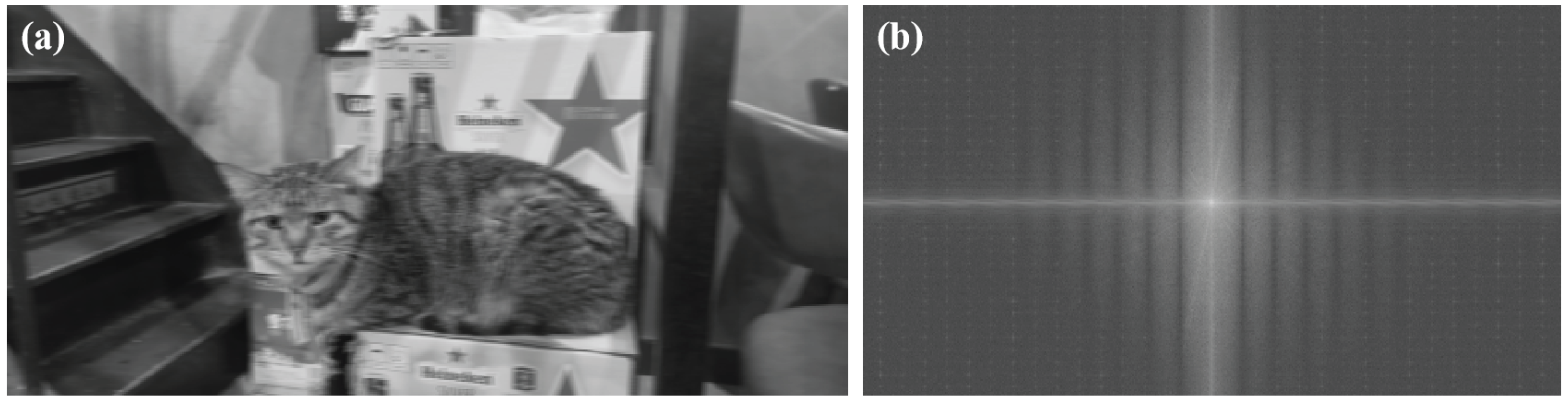 Drones 08 00306 g002