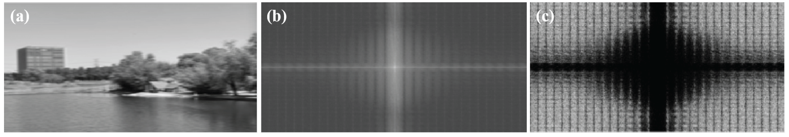 Drones 08 00306 g005