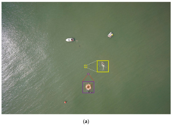 yolo Buy atmos x adidas ZX 8000 'Yoyogi Park' - GW6027 | GOAT