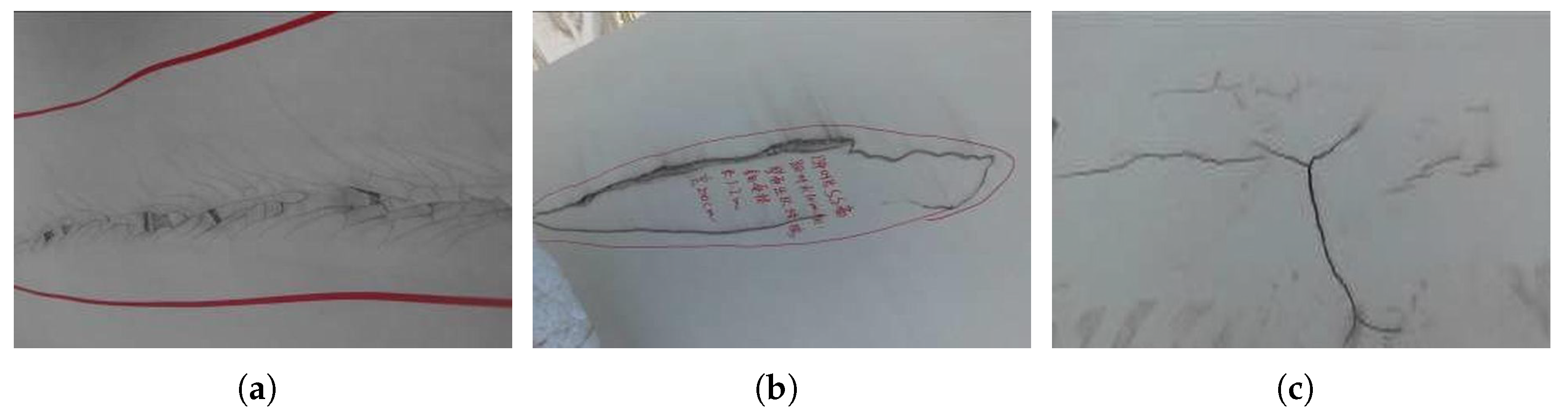Drones 08 00436 g010