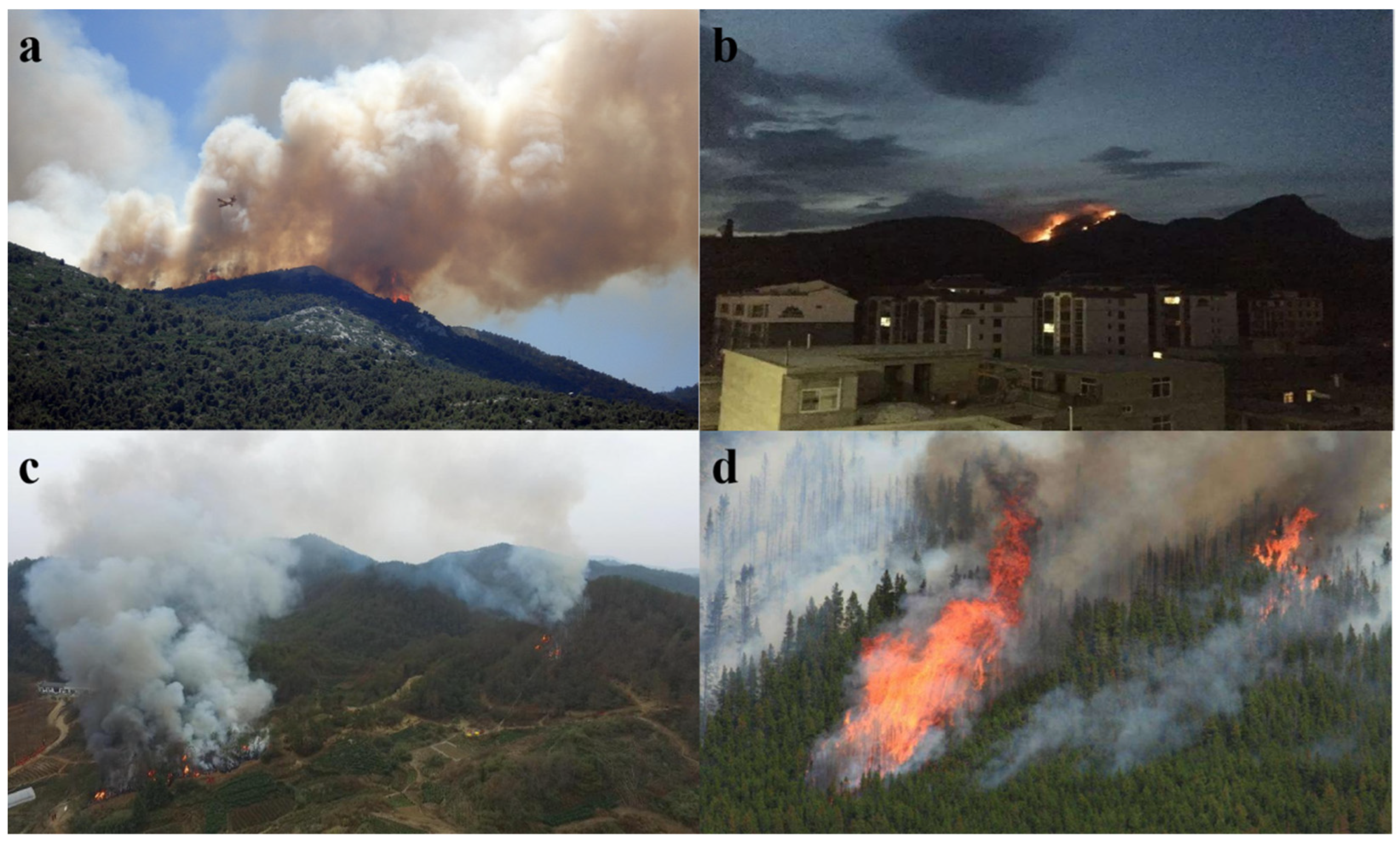 Drones 08 00454 g011