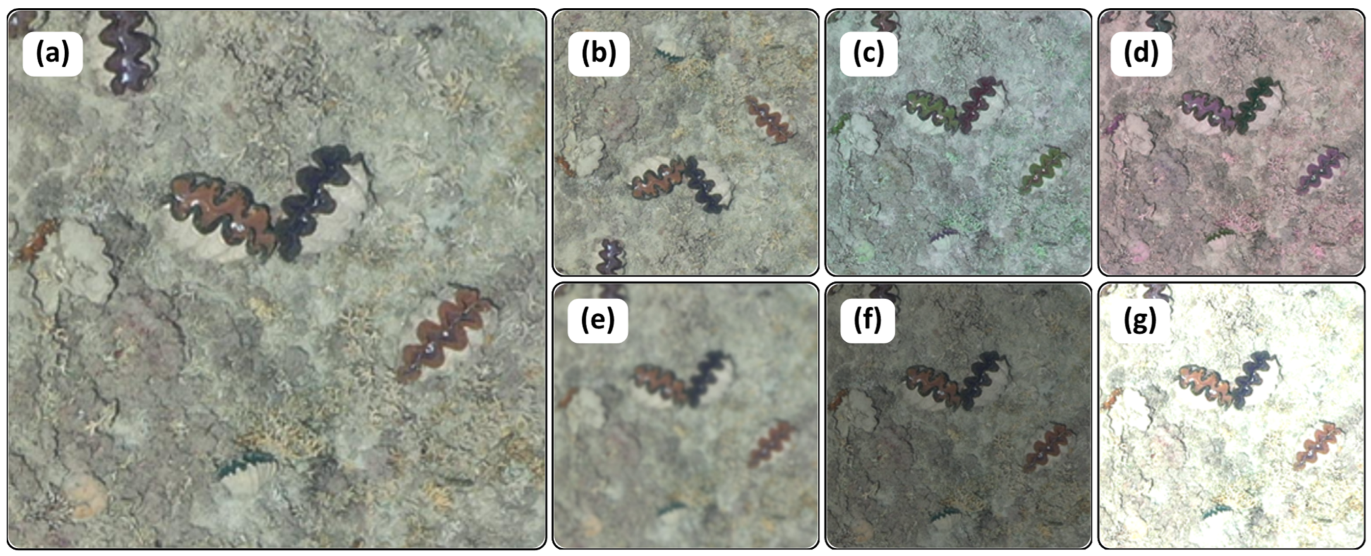 Drones 08 00458 g004