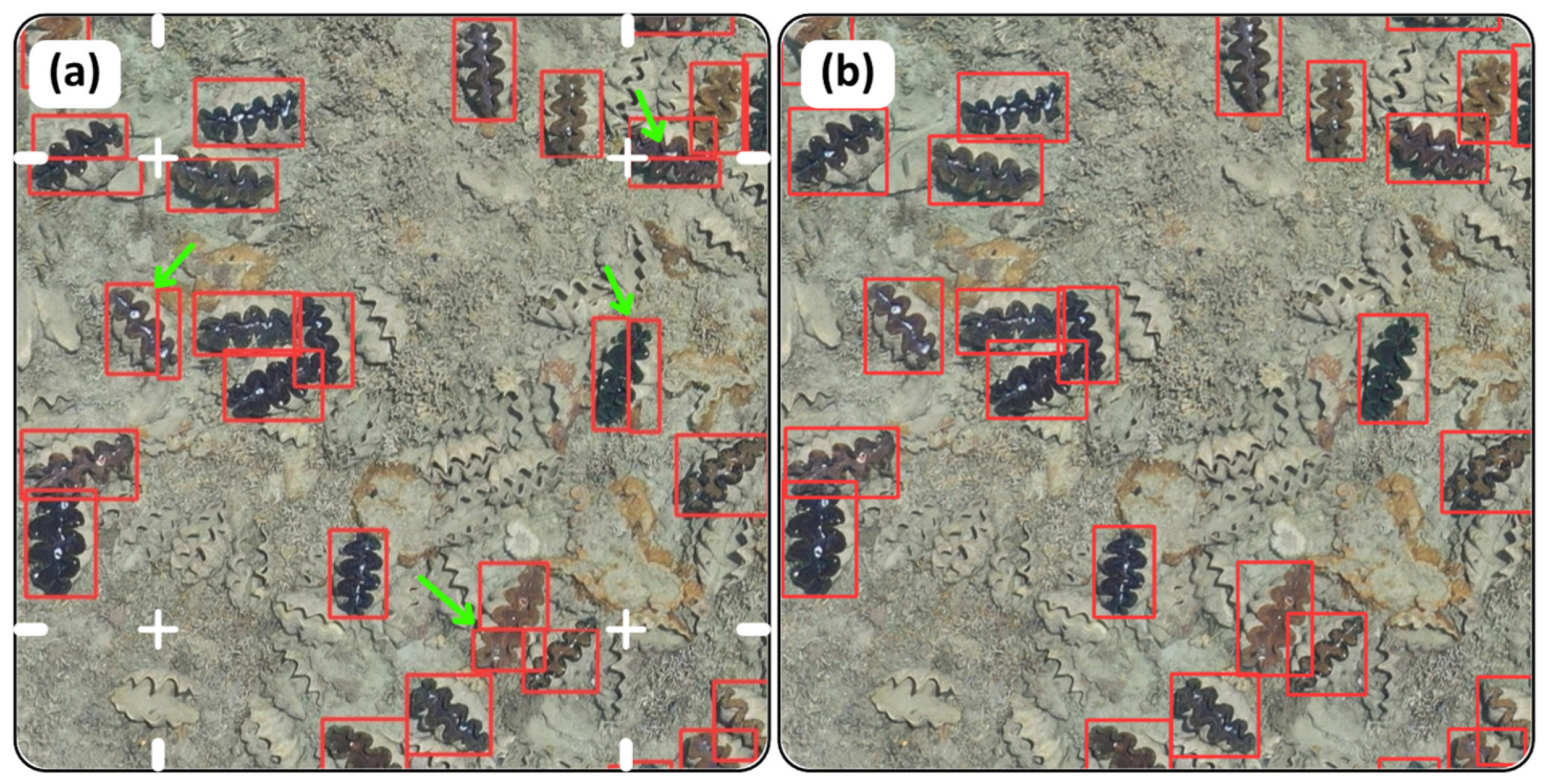 Drones 08 00458 g006