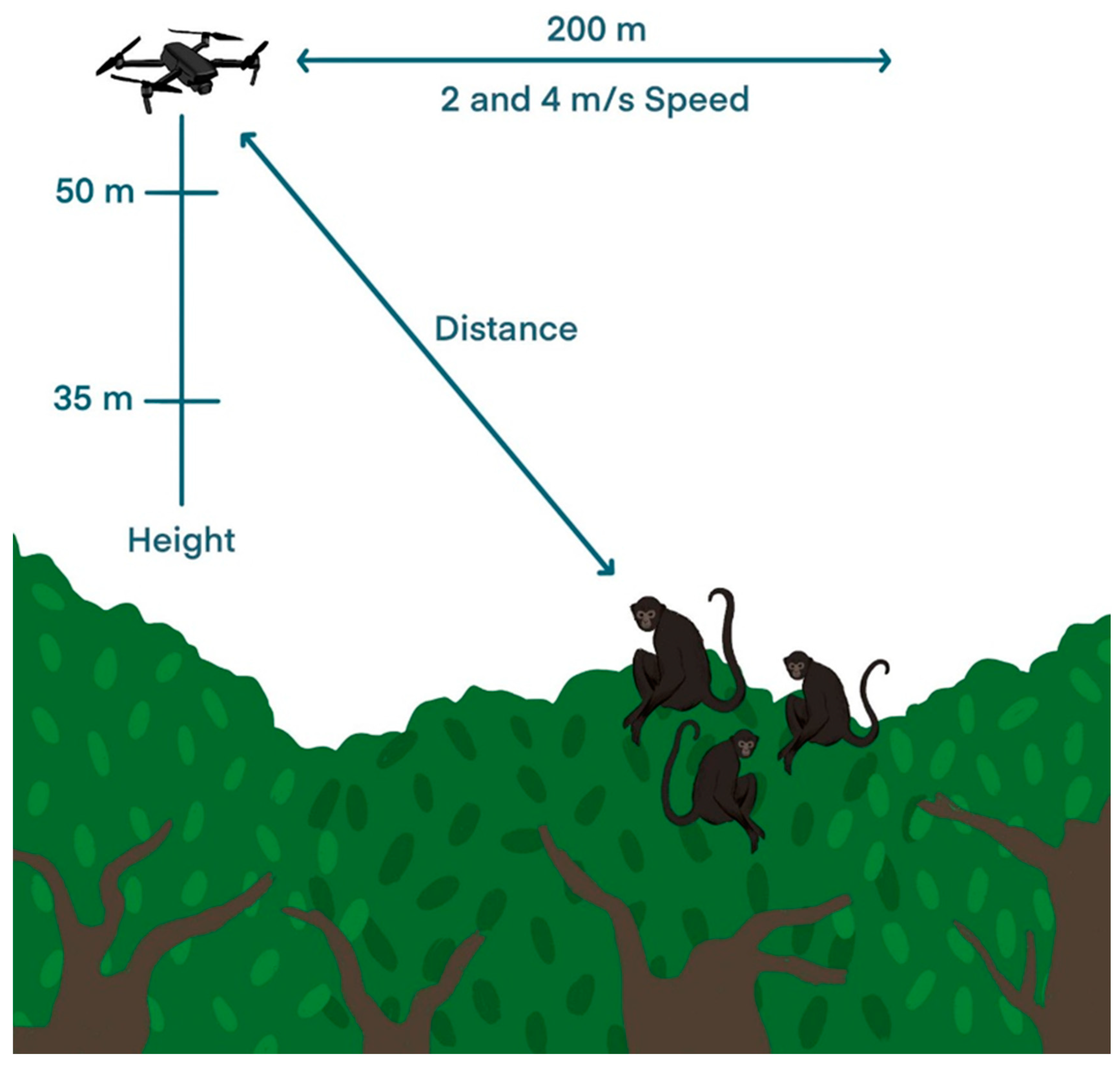 Drones 08 00500 g002 Drones 08 00500 g002