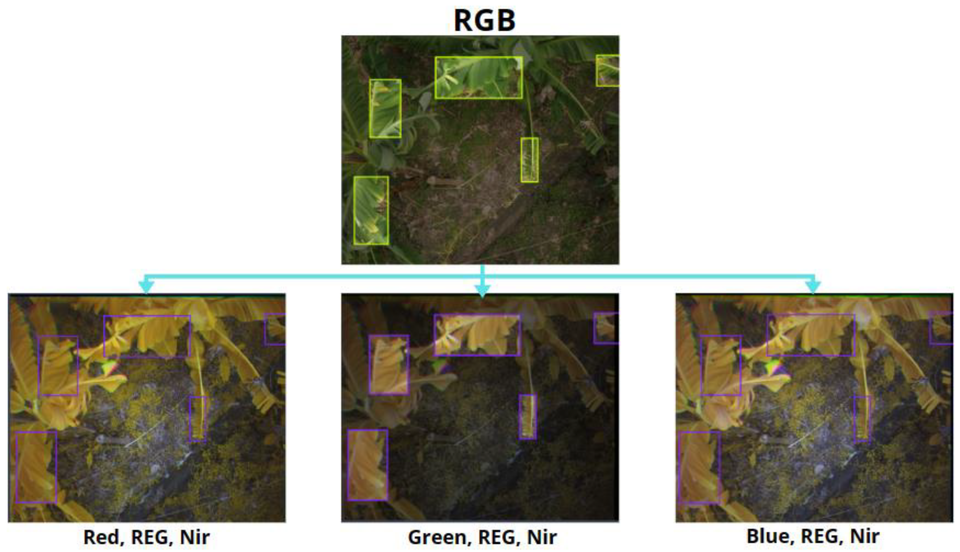 Drones 08 00503 g006