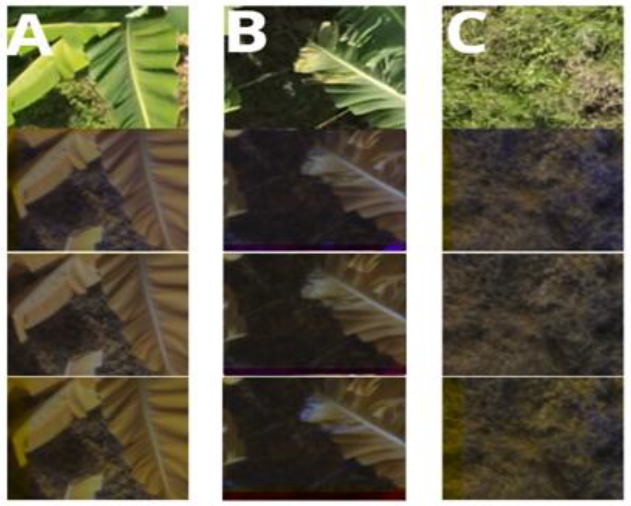 Drones 08 00503 g007