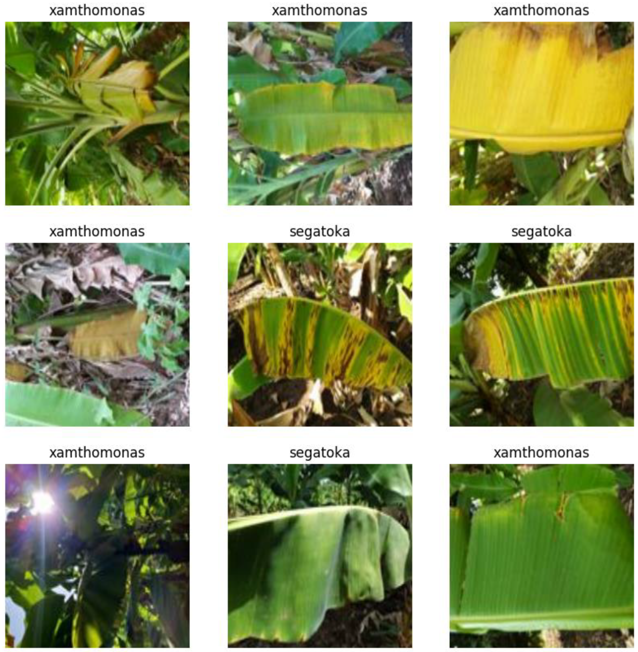 Drones 08 00503 g010