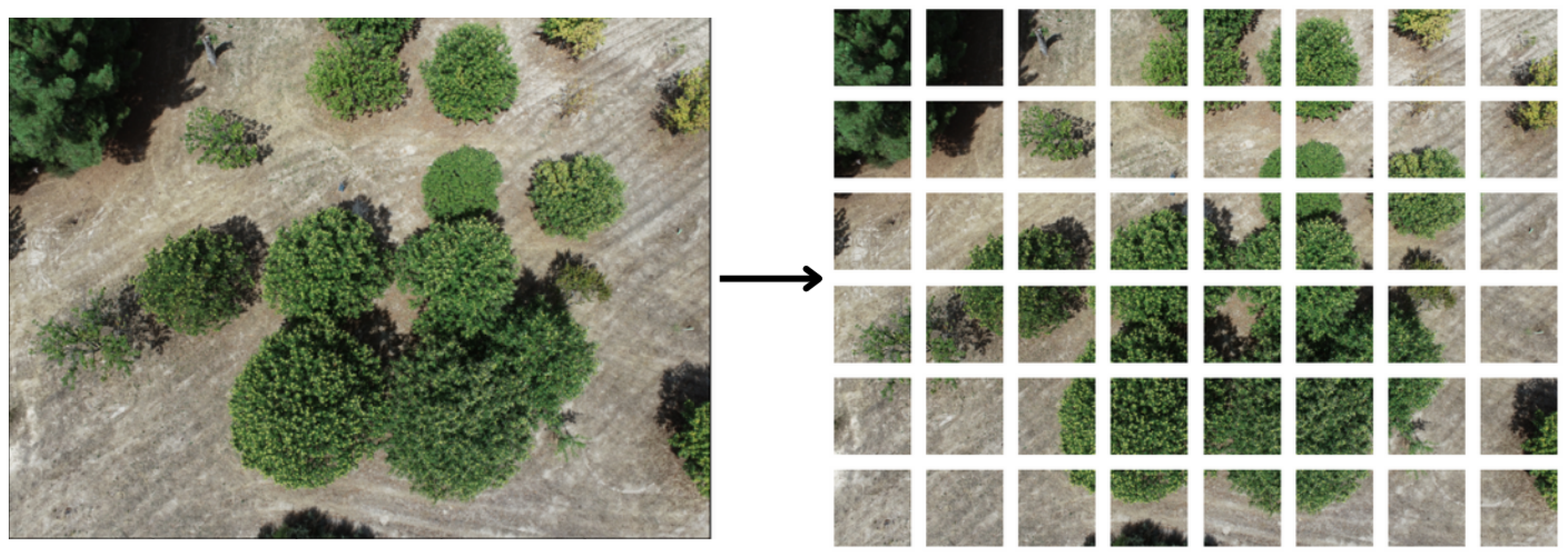 Drones 08 00541 g002 Drones 08 00541 g002