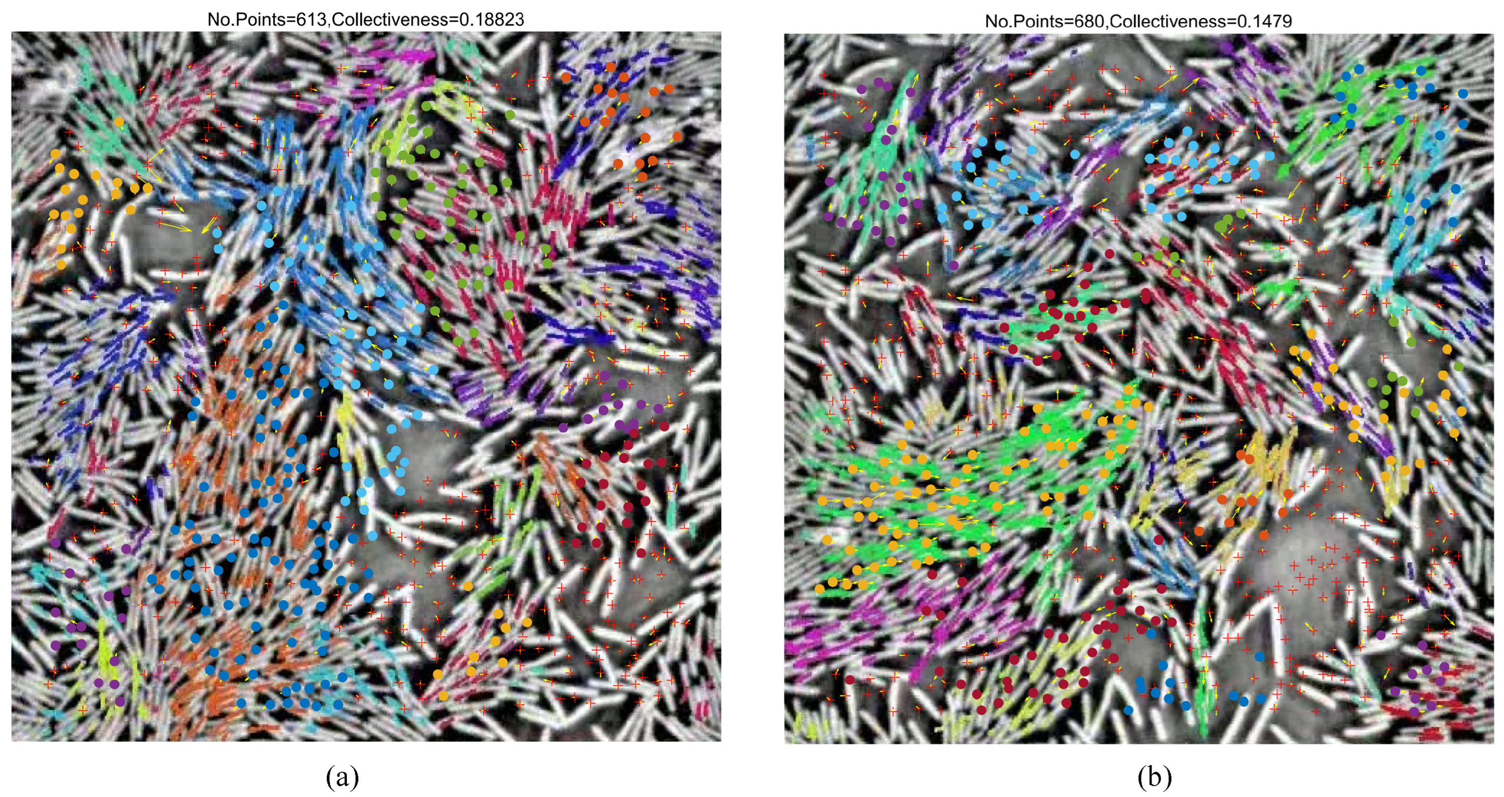 Drones 08 00616 g010