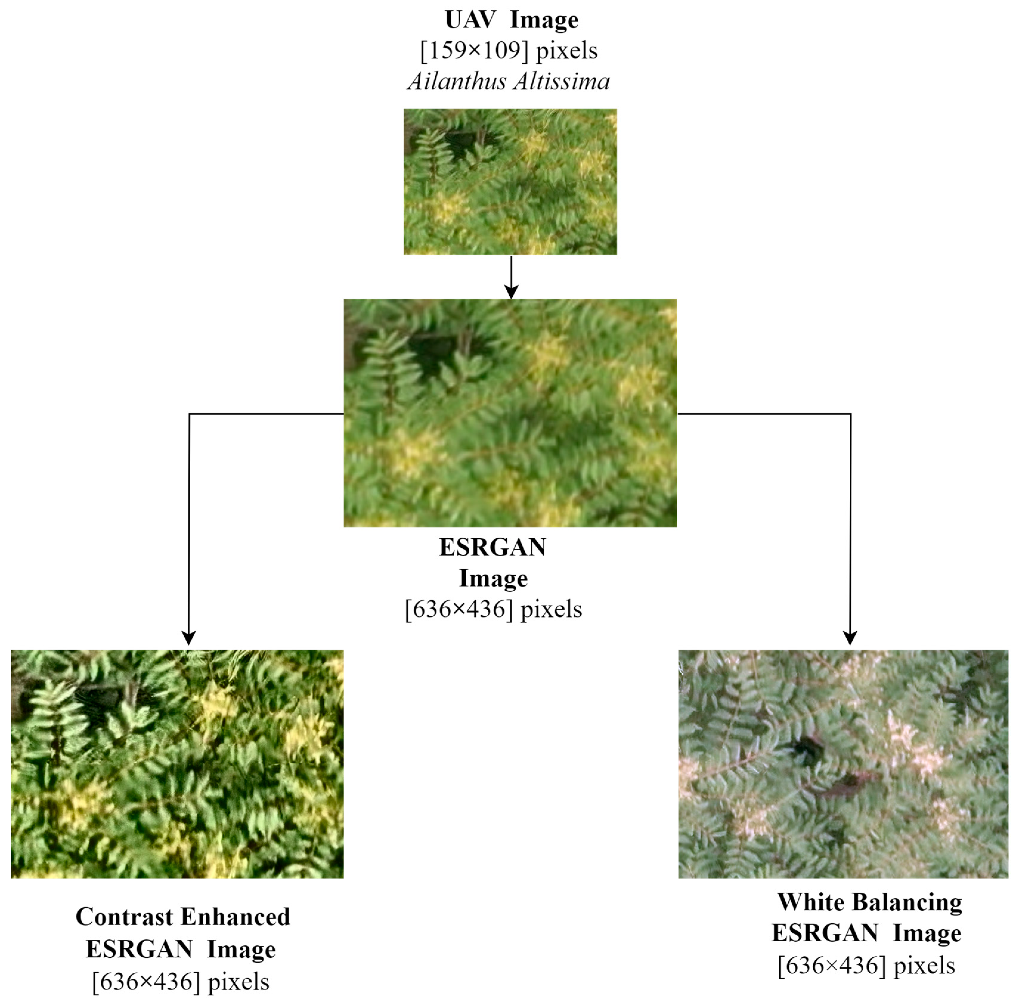 Drones 08 00645 g002