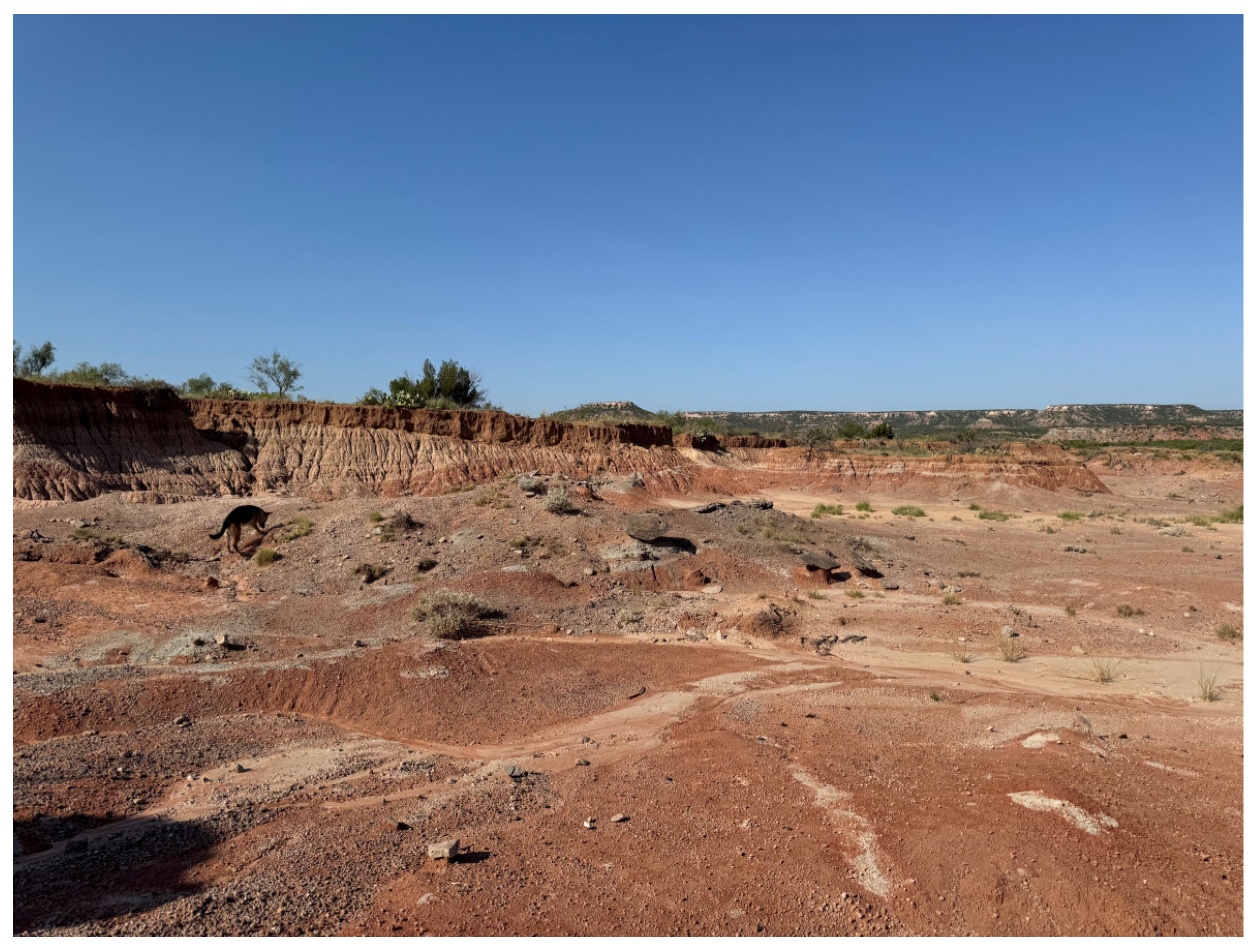 Drones 08 00684 g003