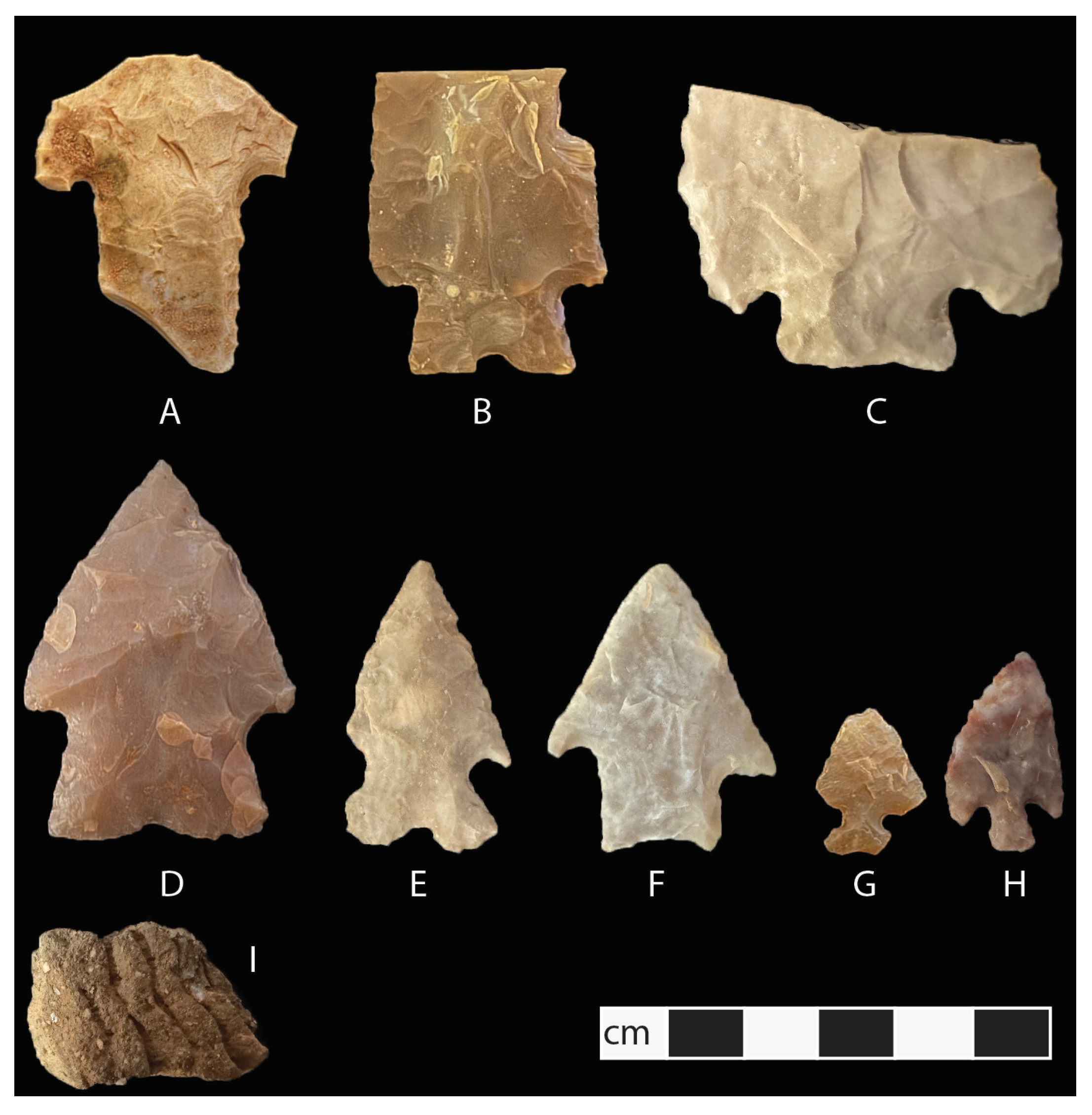 Drones 08 00684 g008