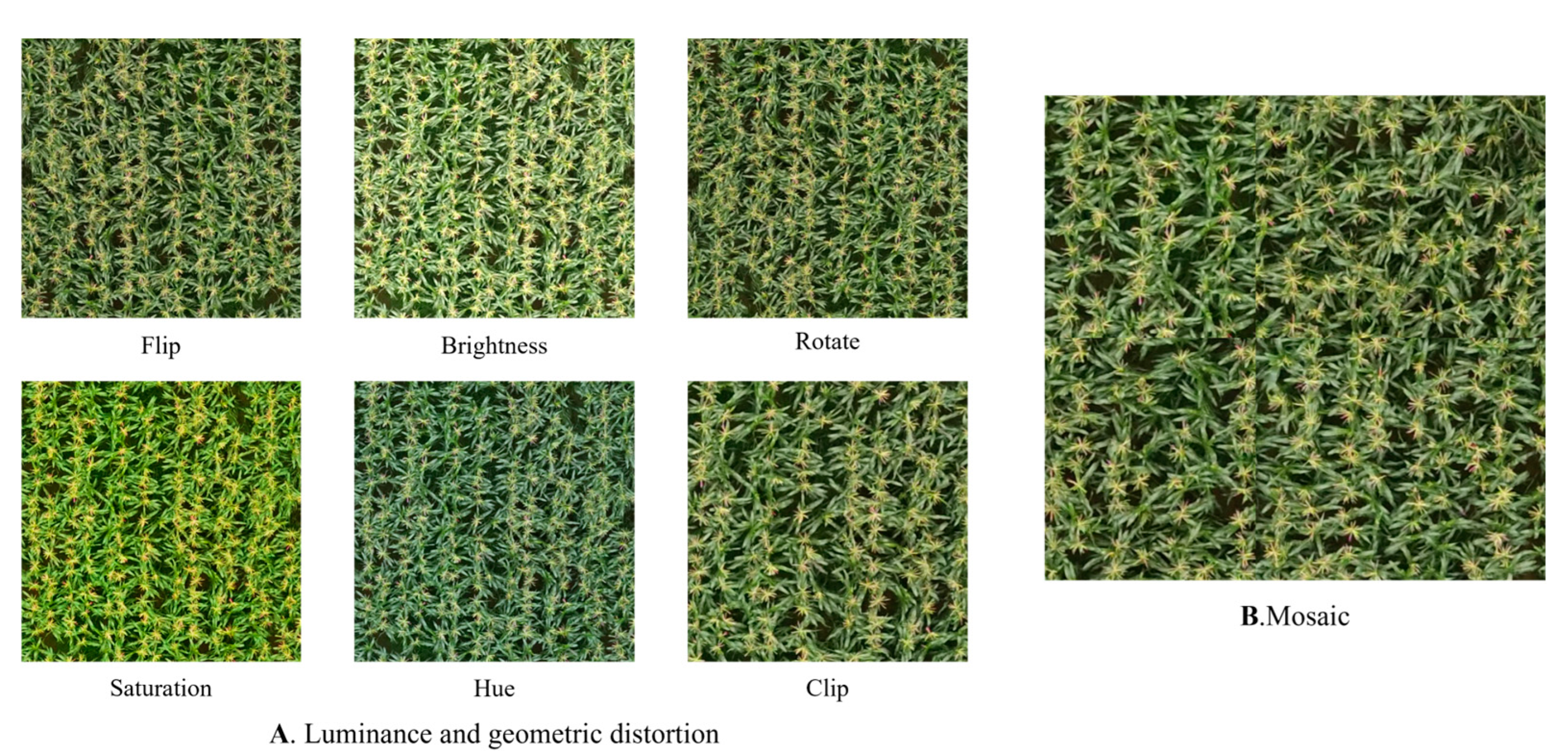 Drones 08 00691 g003