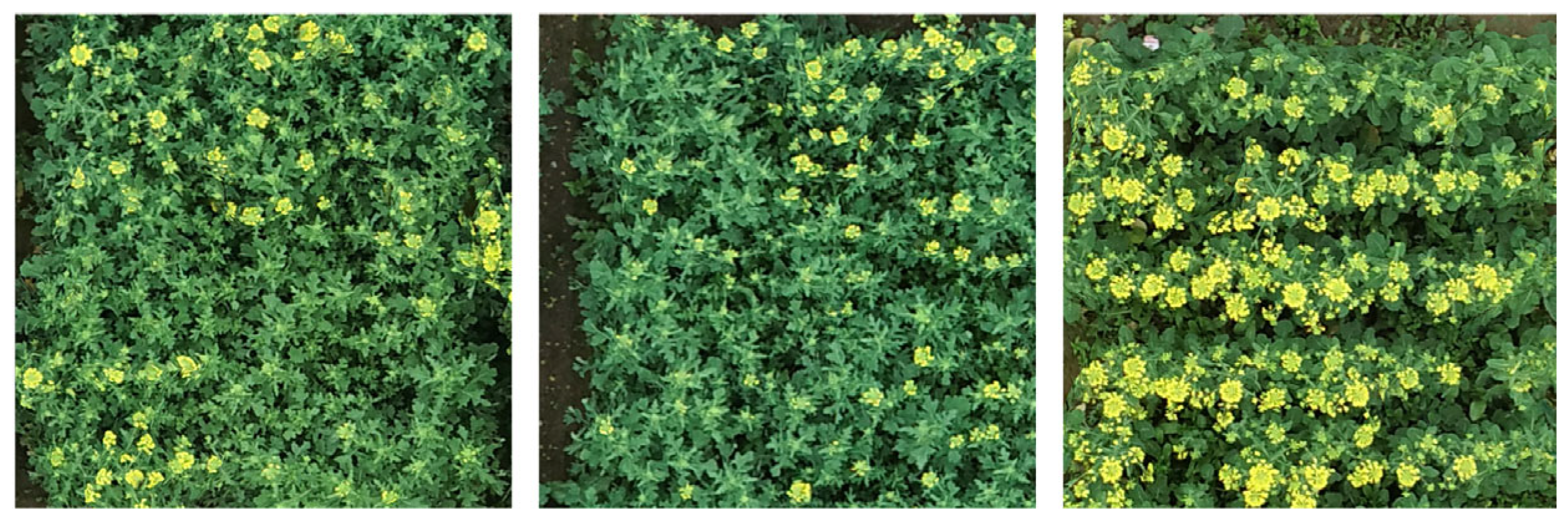 Drones 08 00713 g002