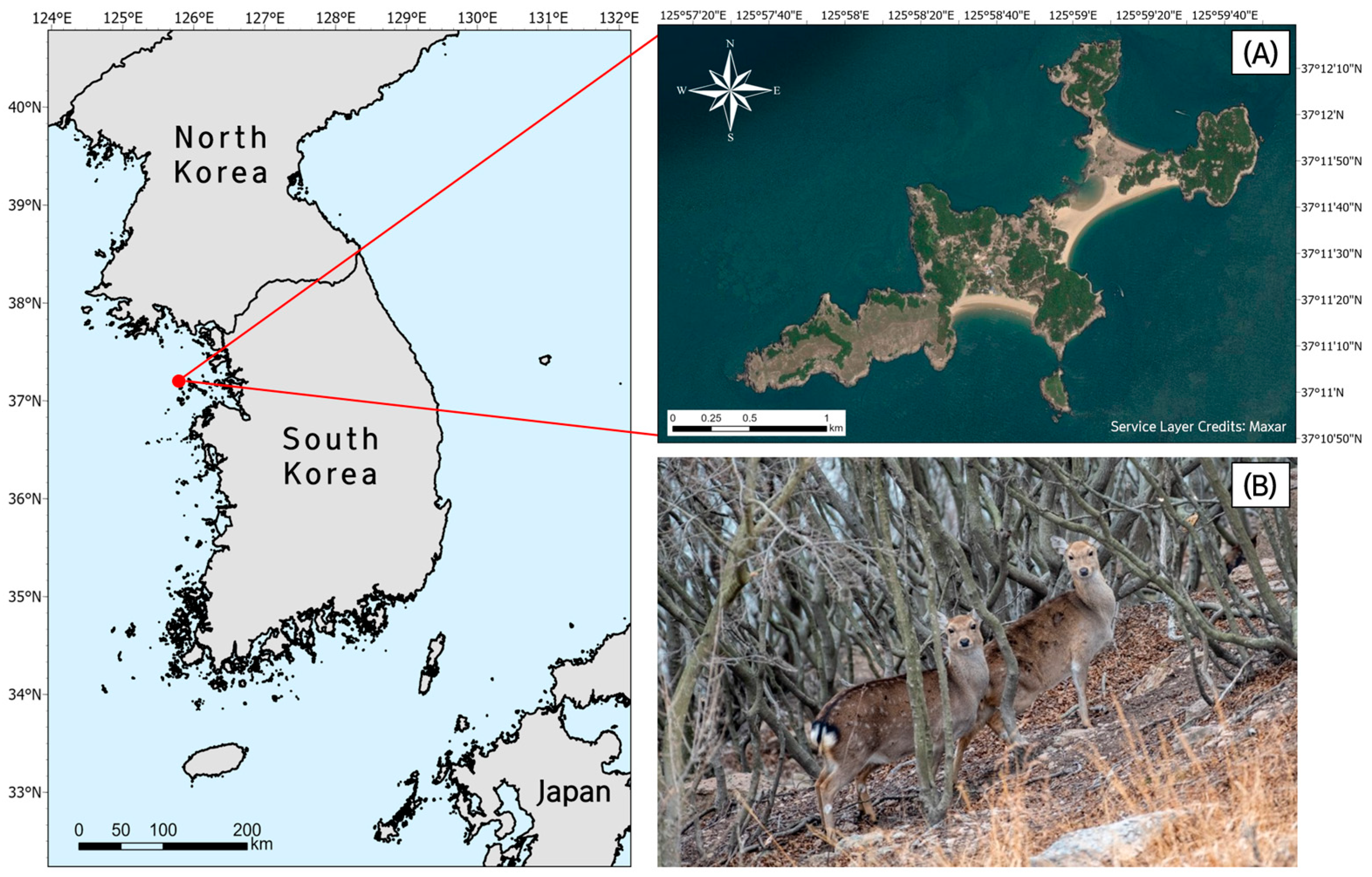 Drones 09 00052 g001