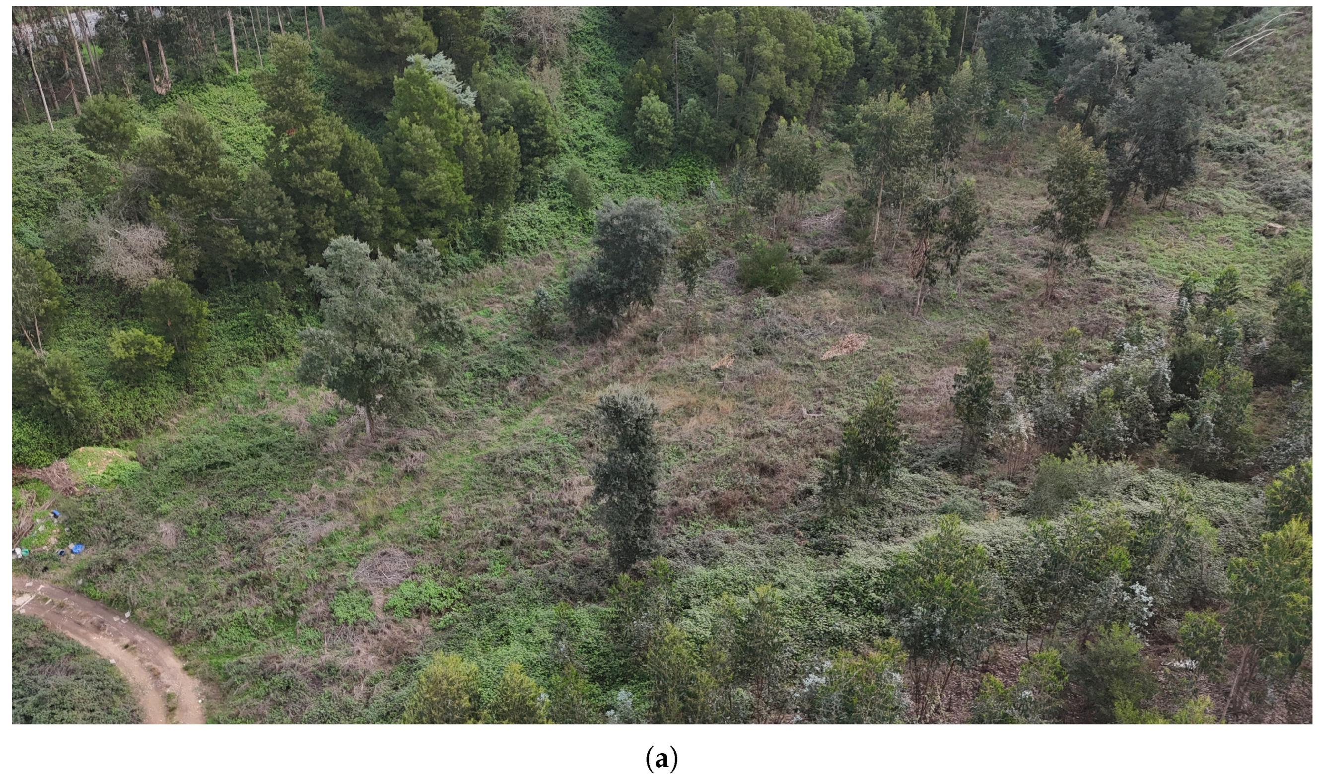 Drones 09 00080 g009a