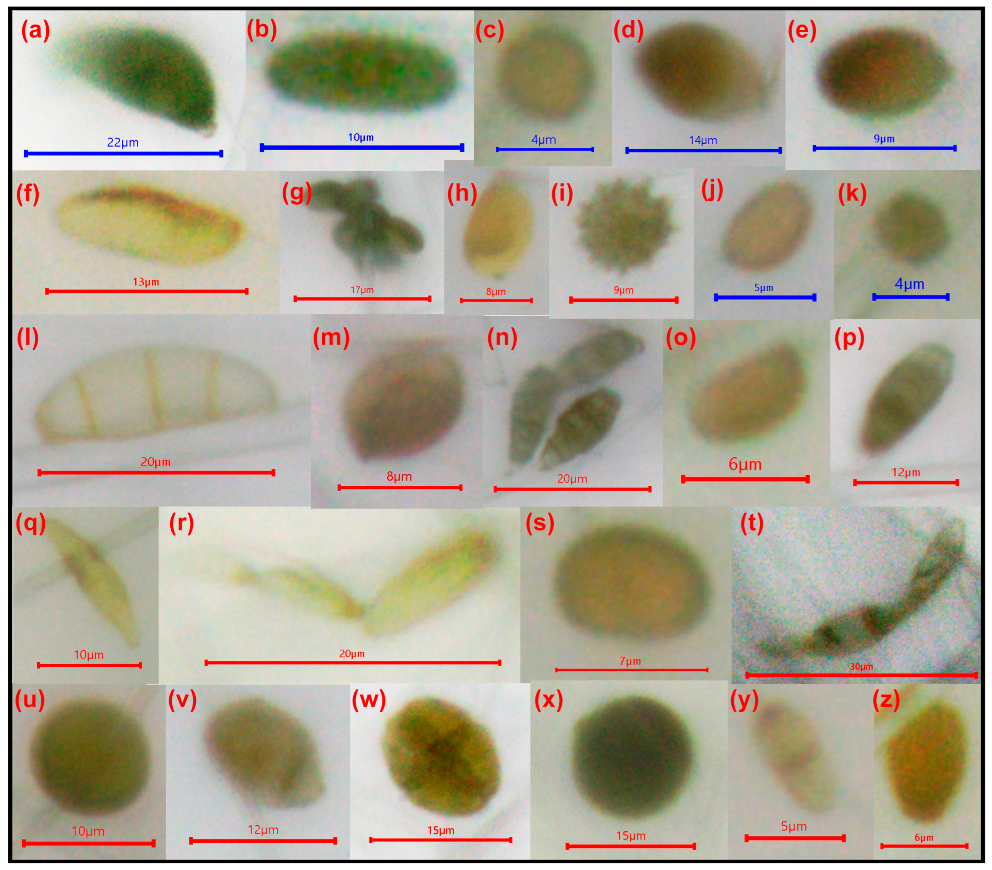 Drones 09 00091 g006