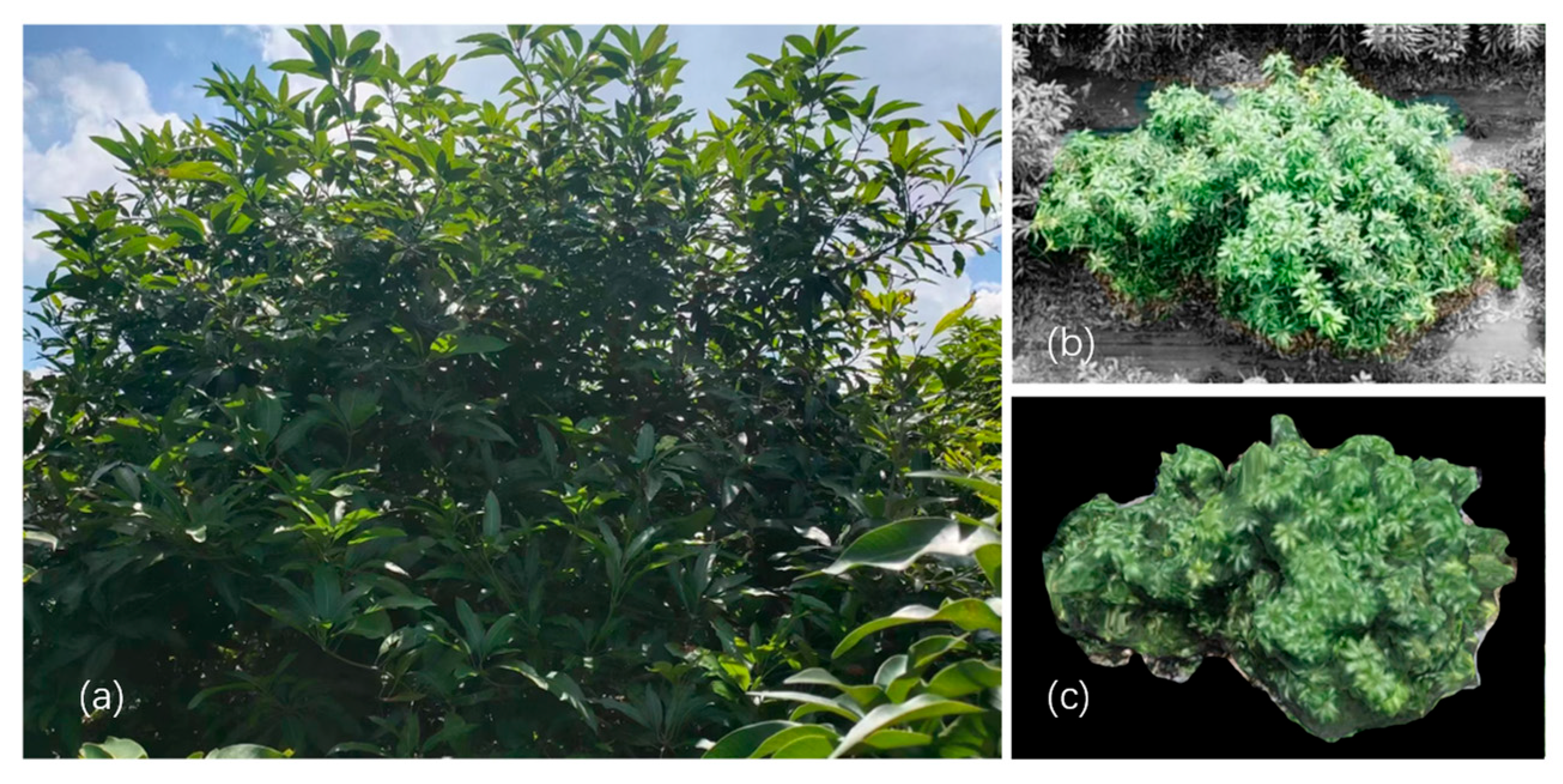 Drones 09 00151 g004