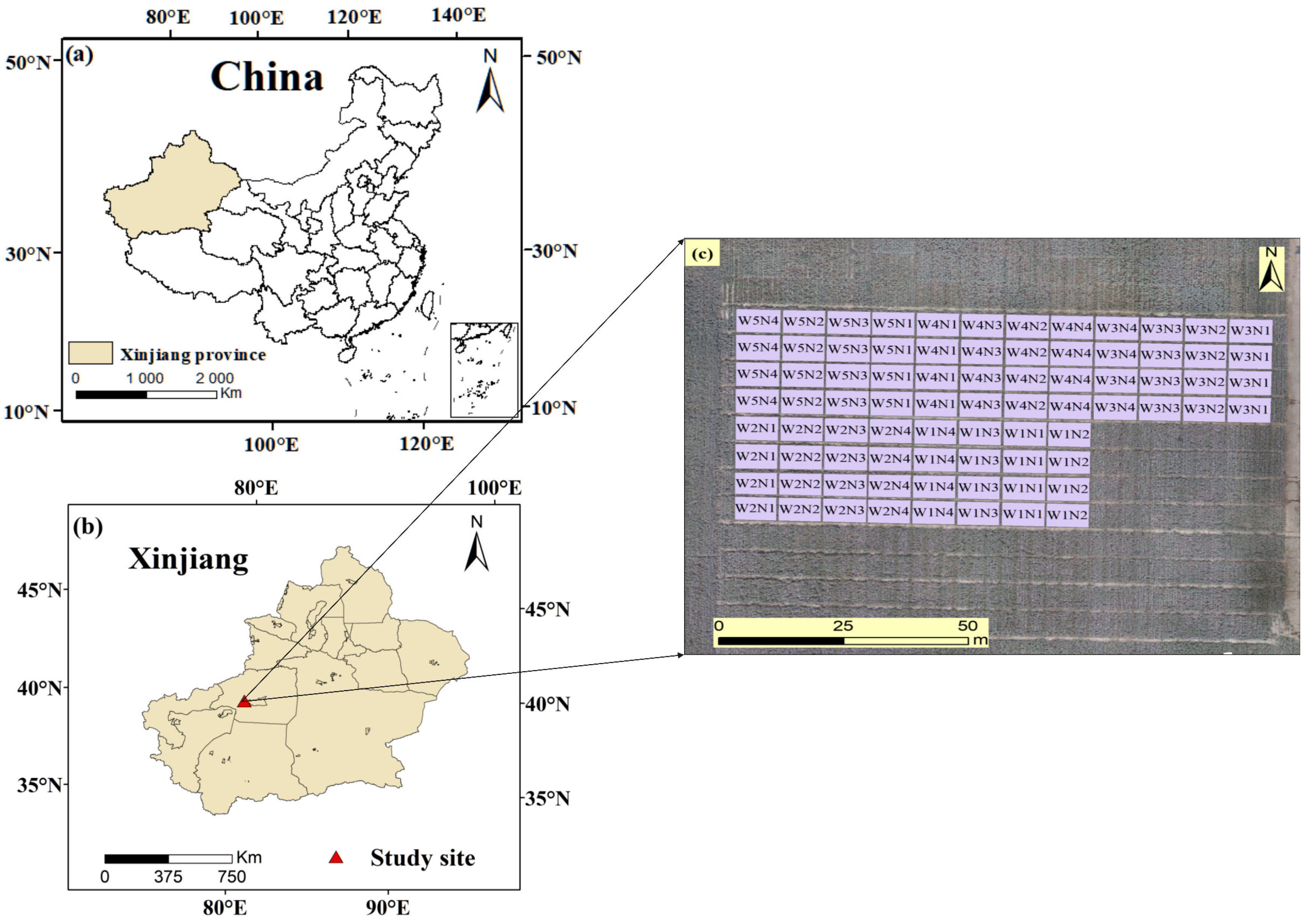 Drones 09 00186 g001