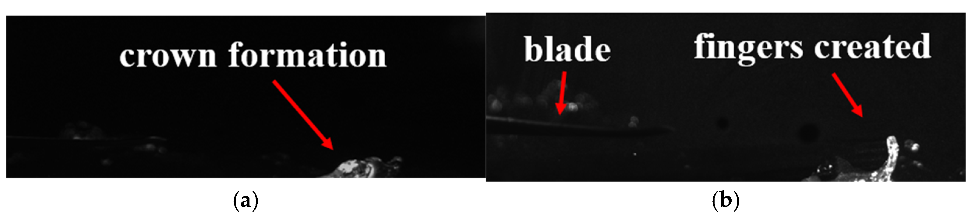 Drones 09 00195 g017