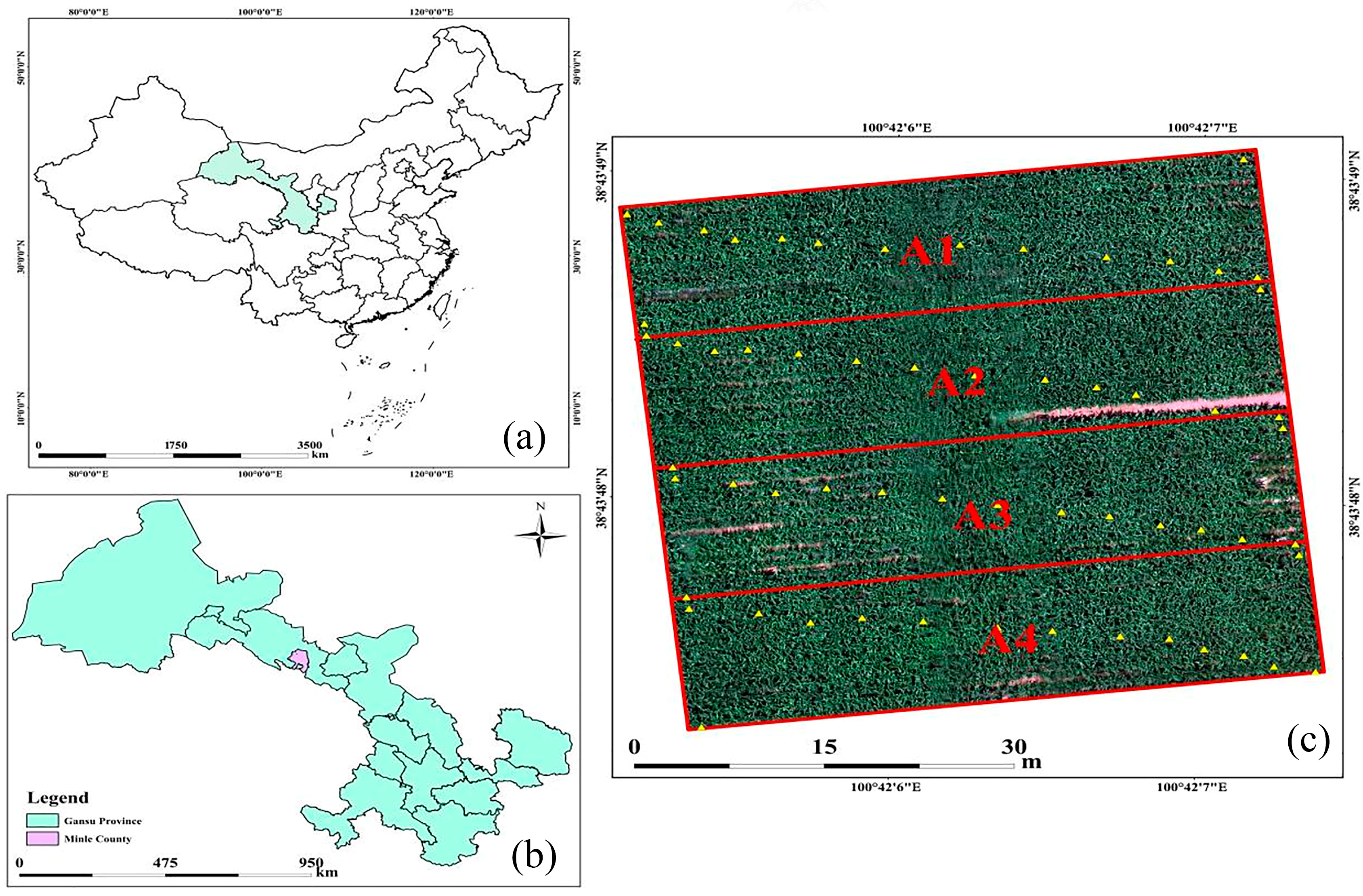 Drones 09 00270 g001