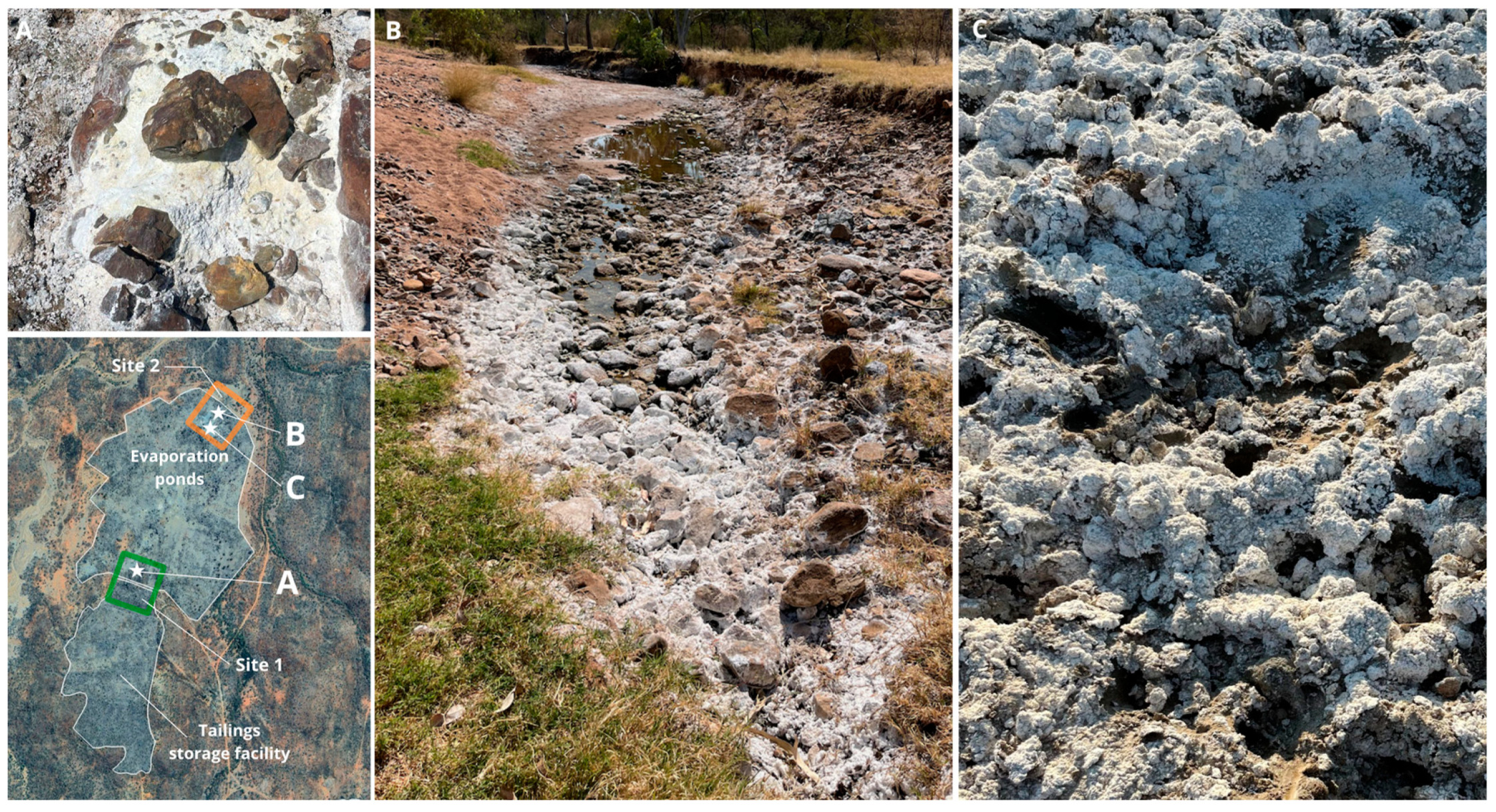 Drones 09 00313 g002