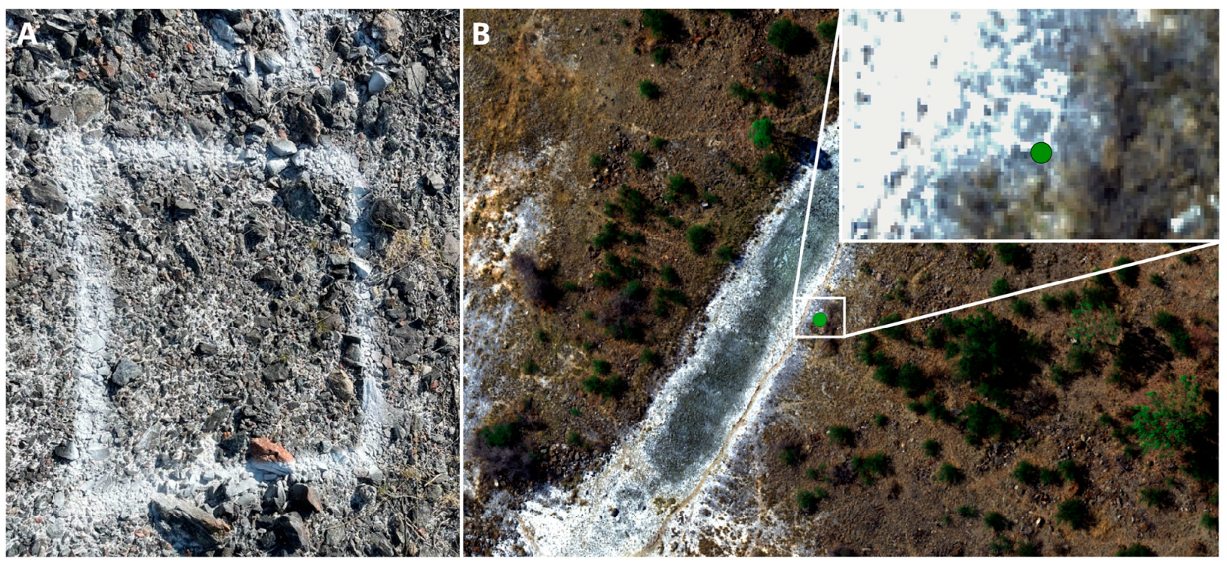 Drones 09 00313 g004