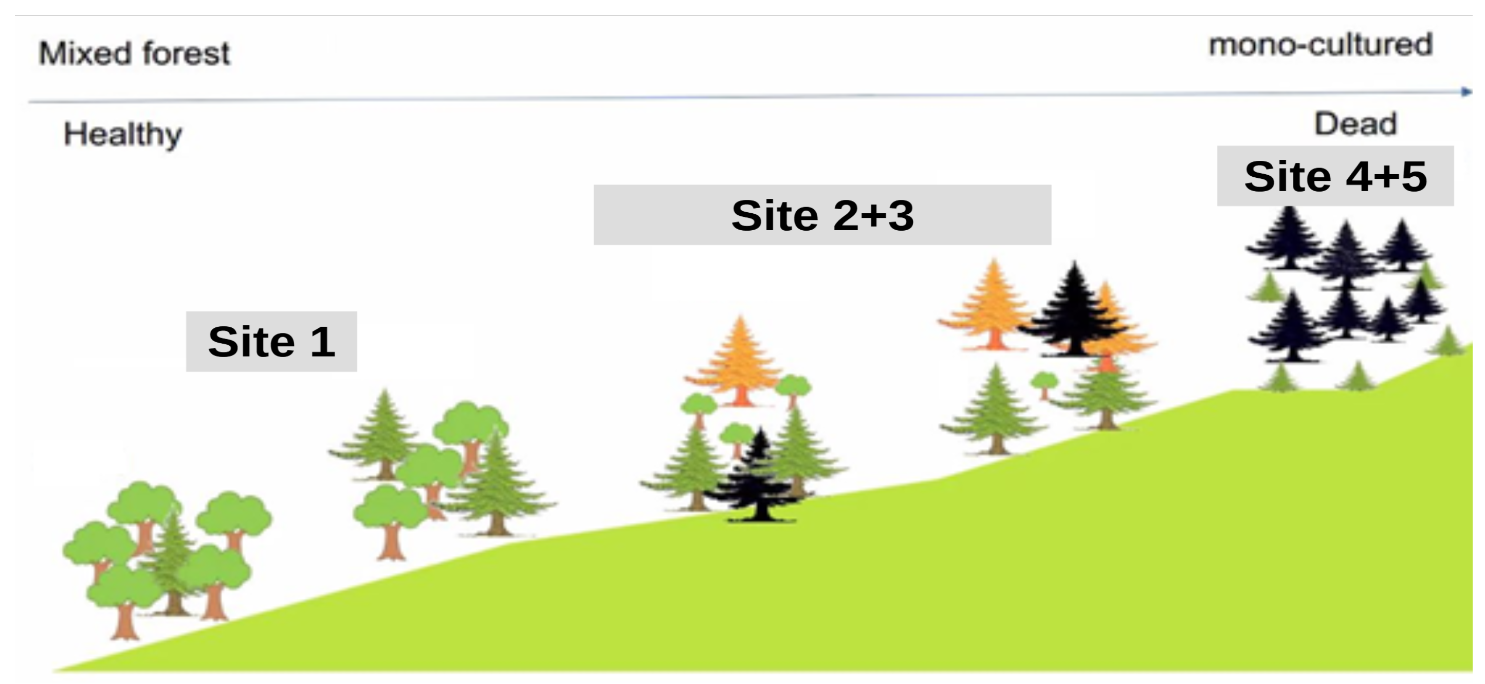 Drones 09 00337 g002