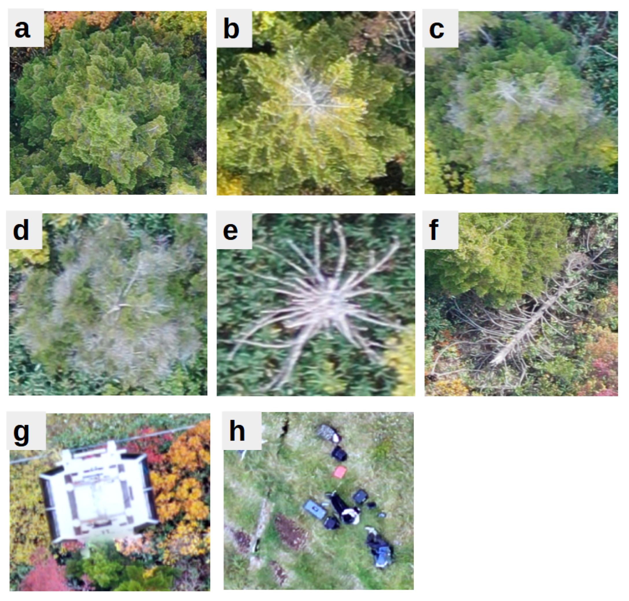 Drones 09 00337 g005