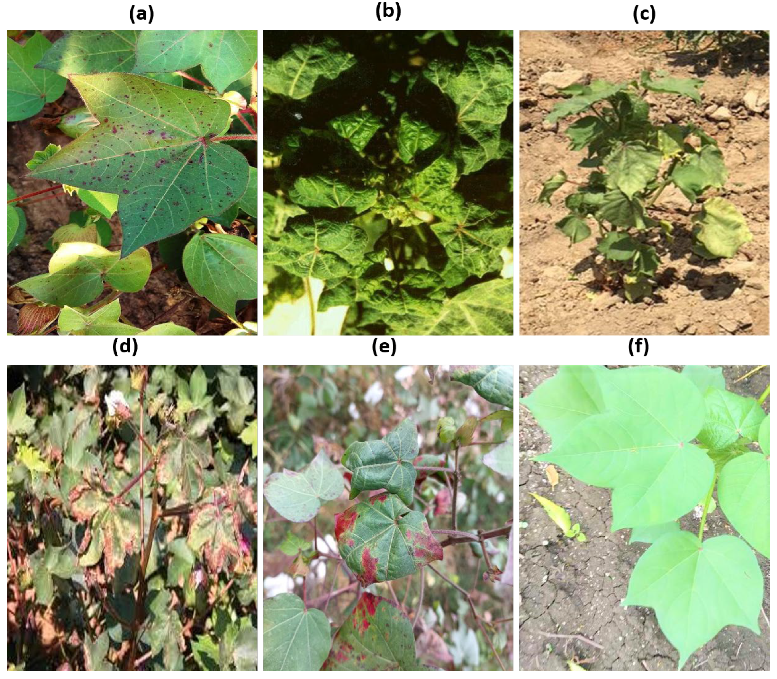 Drones 09 00385 g002