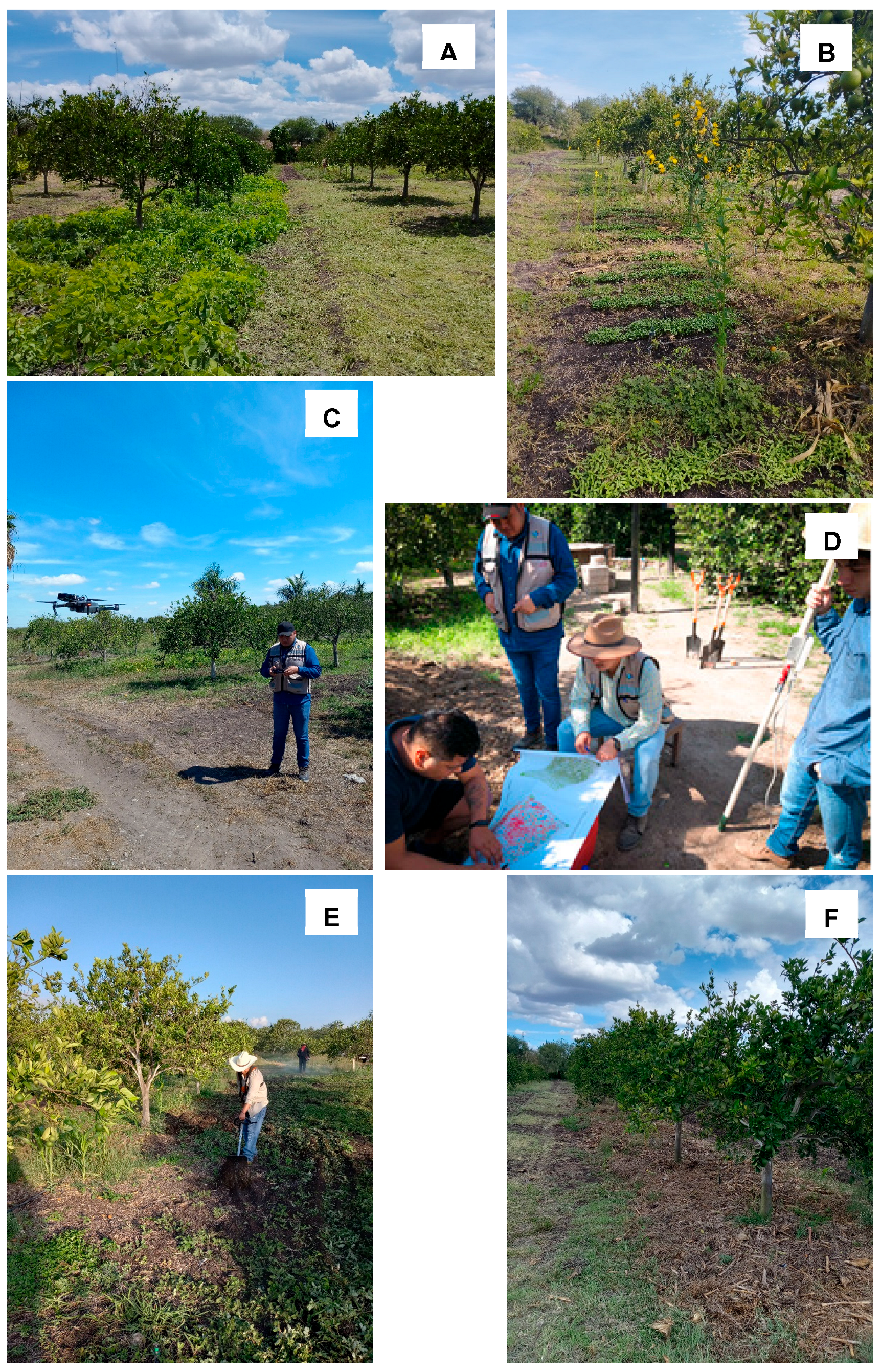 Drones 09 00398 g002