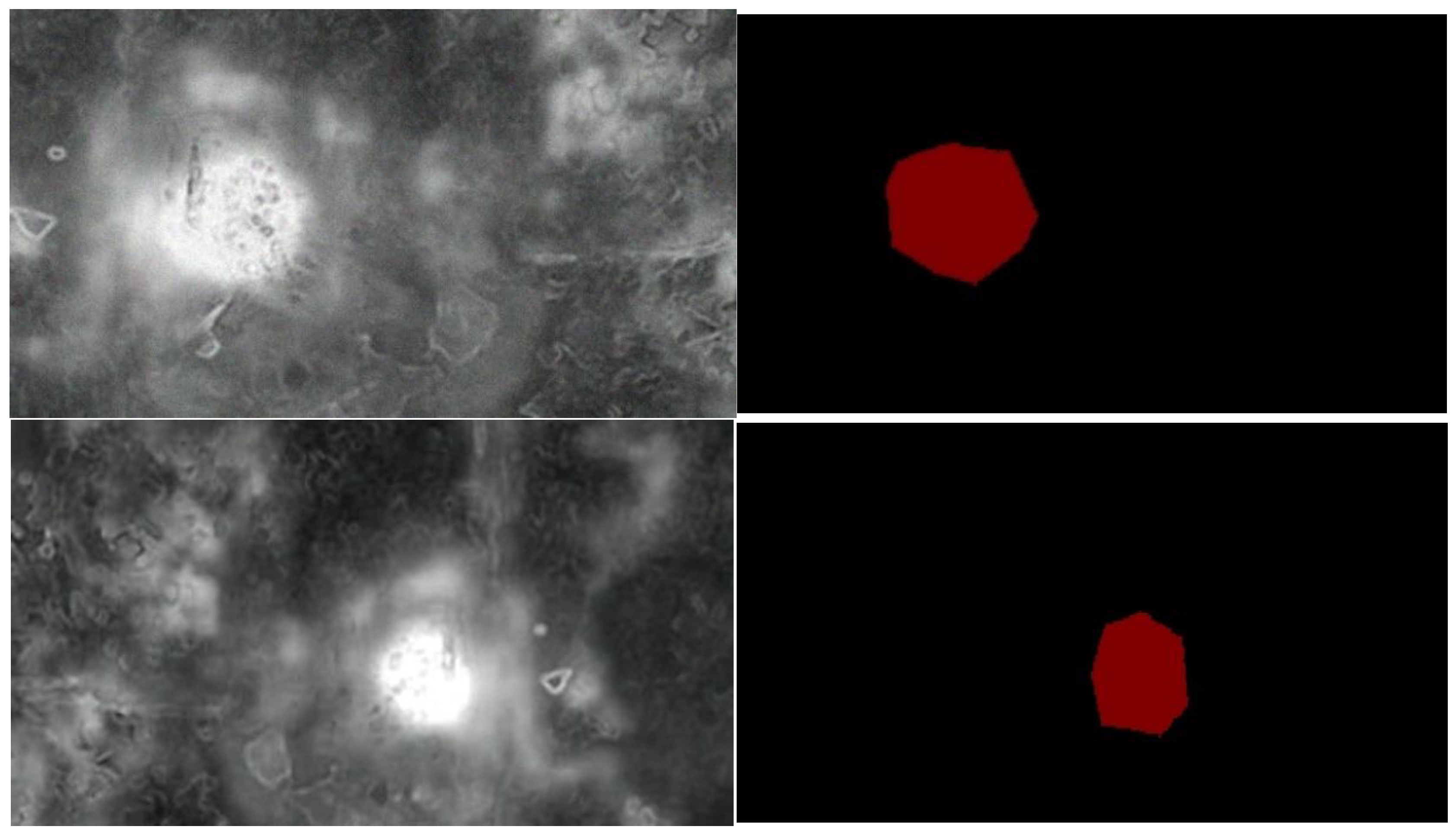 Drones 09 00459 g003