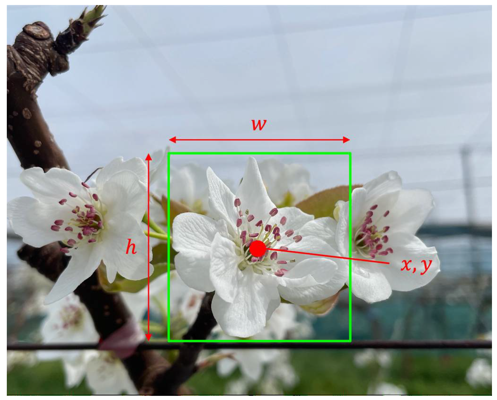 Drones 09 00475 g006