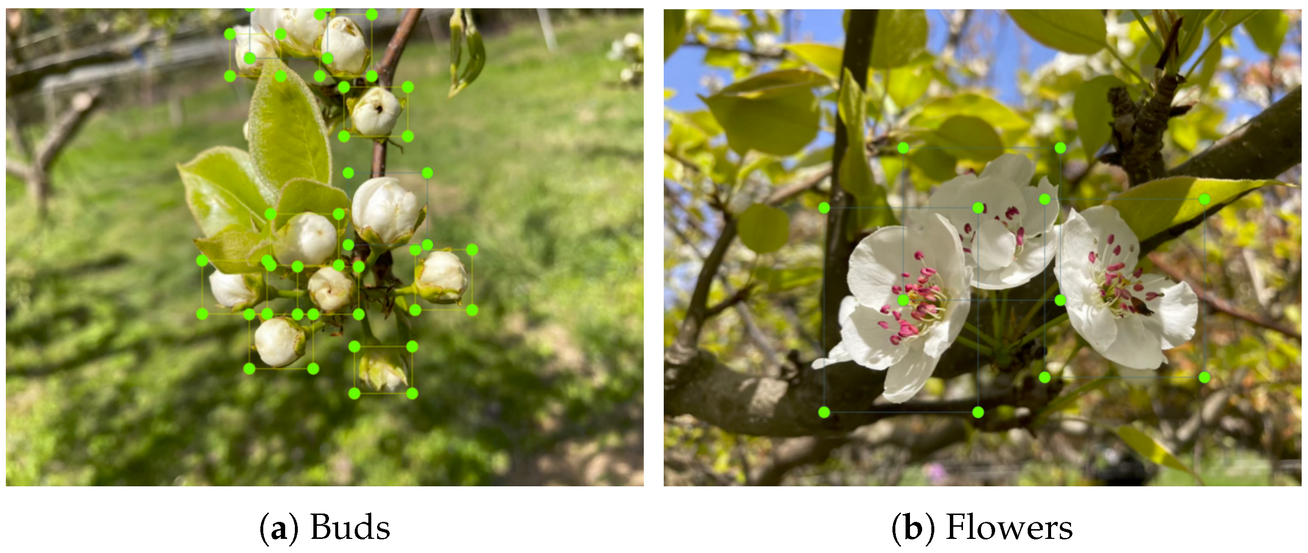 Drones 09 00475 g007