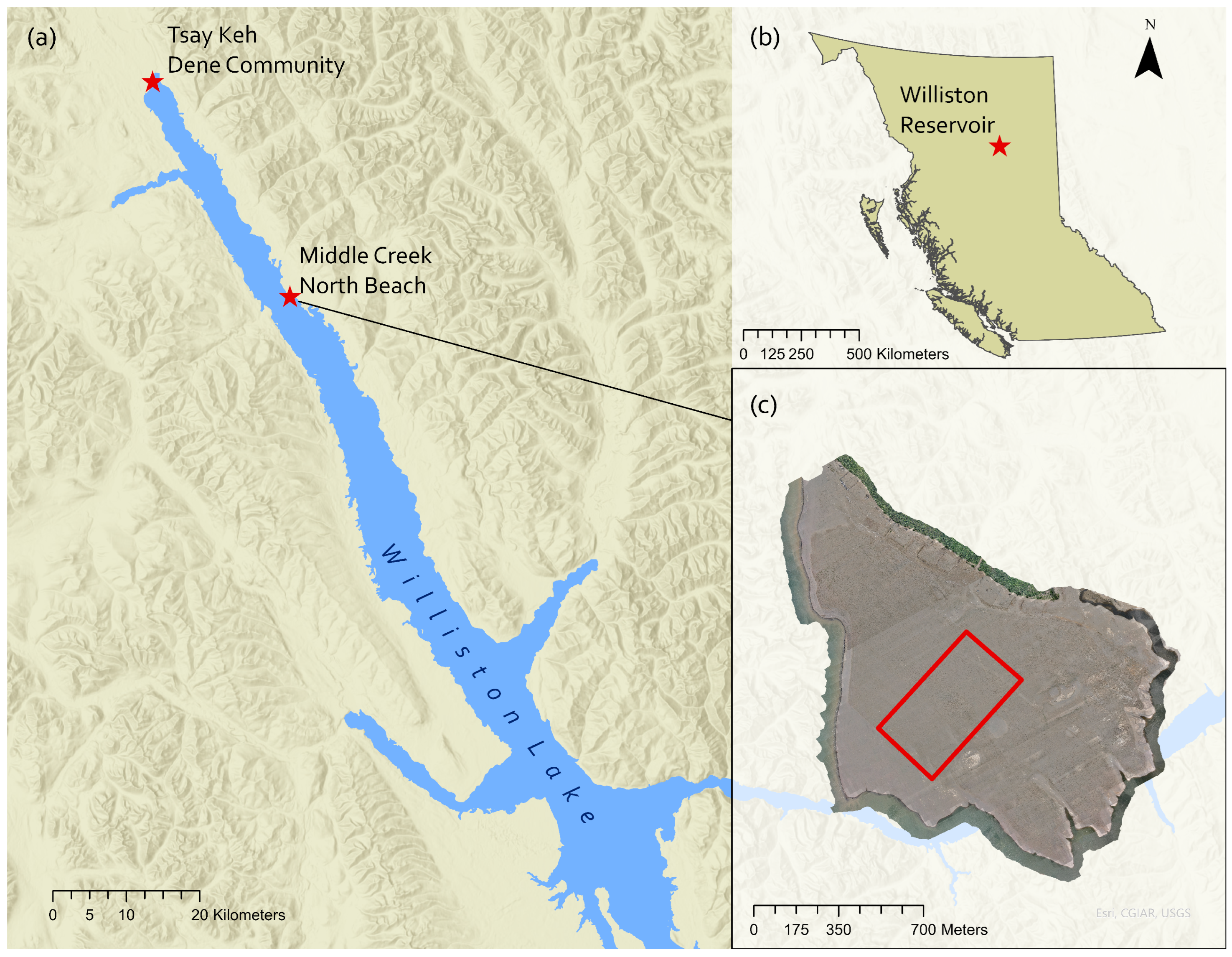 Drones 09 00488 g001