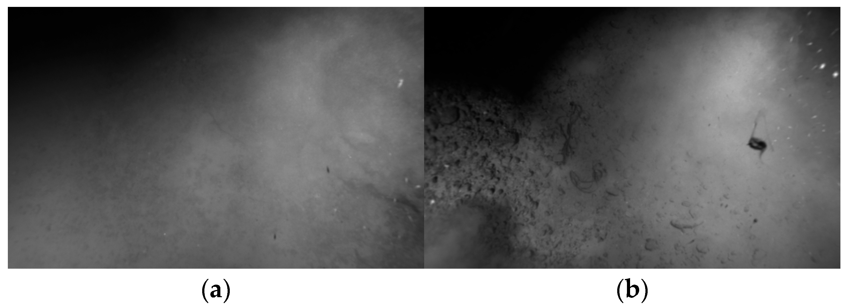 Drones 09 00579 g006