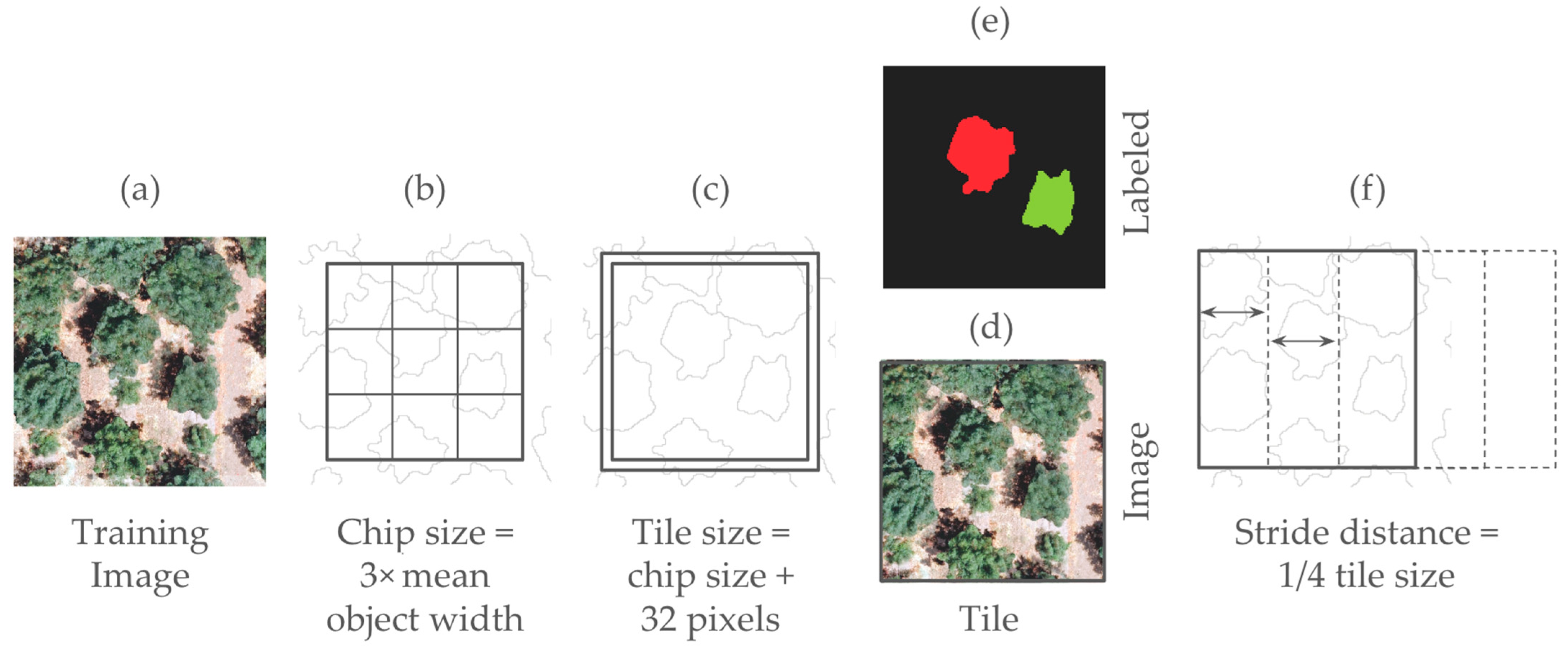 Mapping Orchard Trees from UAV Imagery Through One Growing Season: A ...
