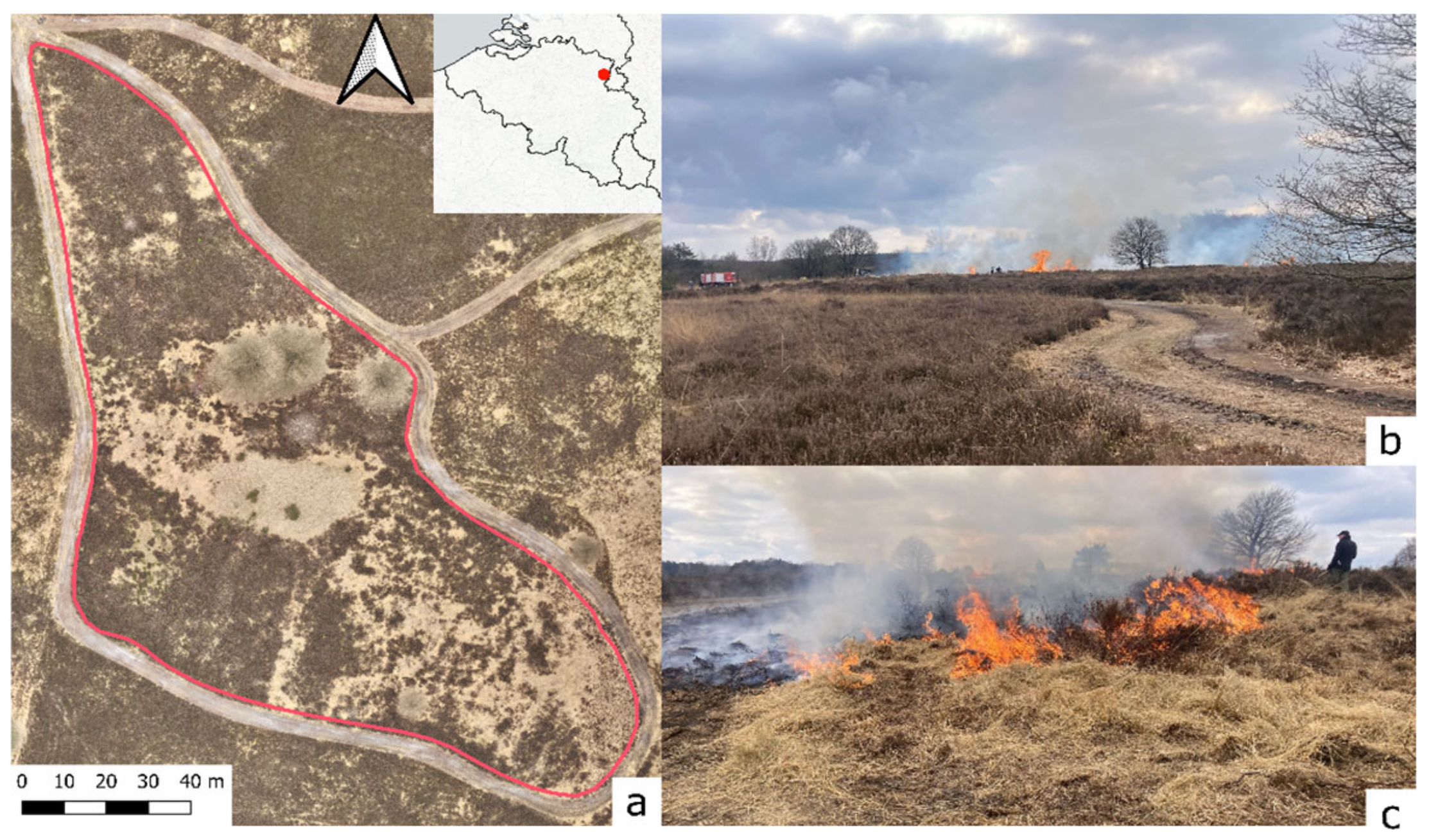 Drones 09 00615 g001 Drones 09 00615 g001