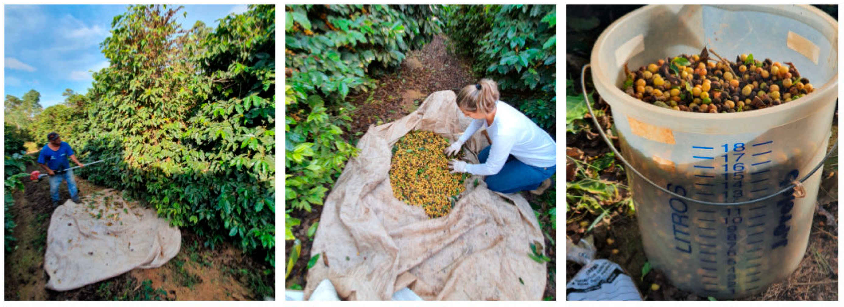 Drones 09 00717 g003